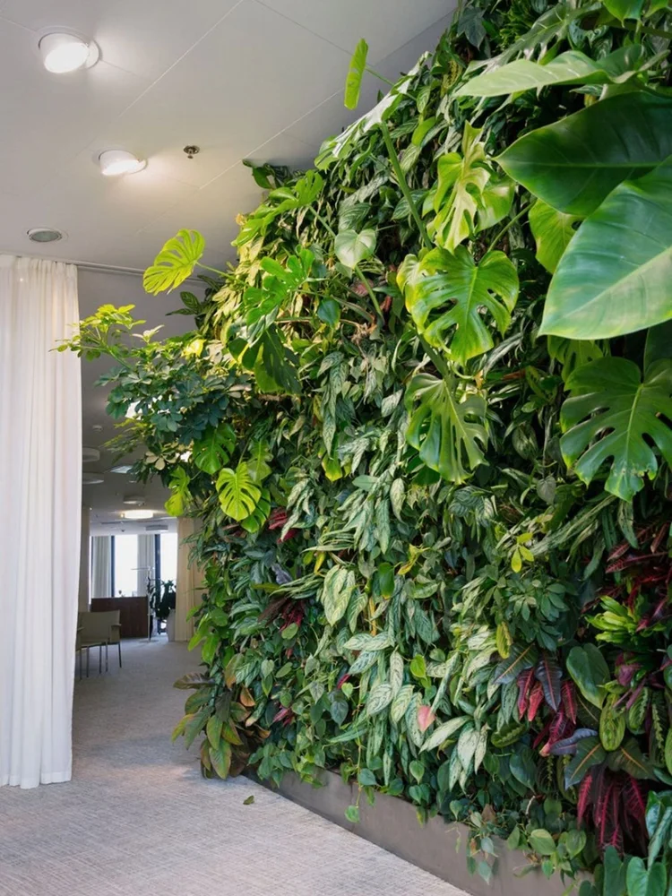 View of A Lifestyle Shift: Incorporating Plants Into Architectural & Interior ...