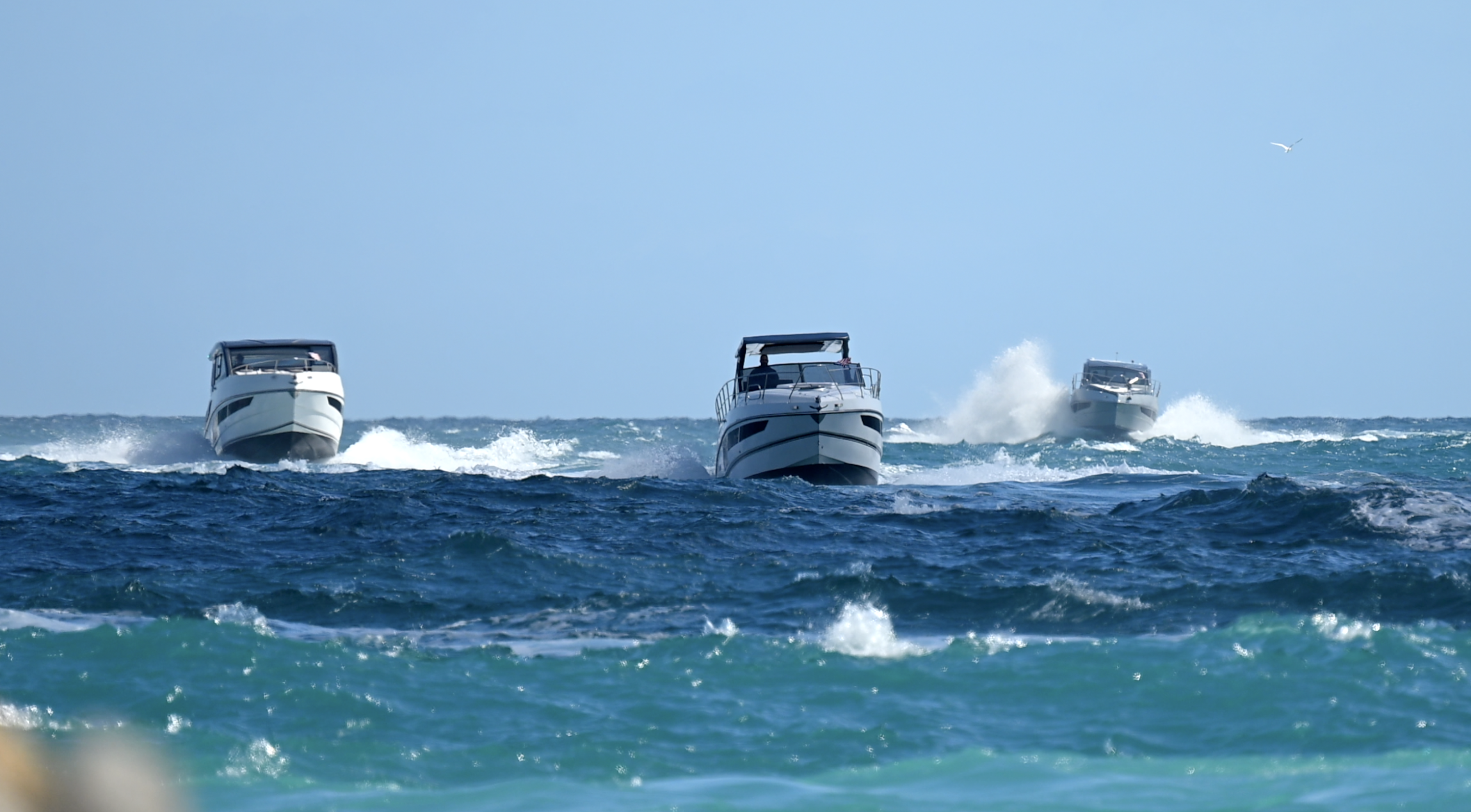 Screenshot 2026-02-15 at 10.41.39 AM.png