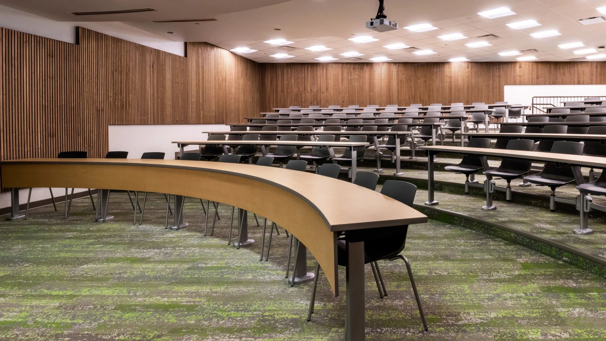 woodline-edge-acoustical-wall-panels-classroom-installation.jpg