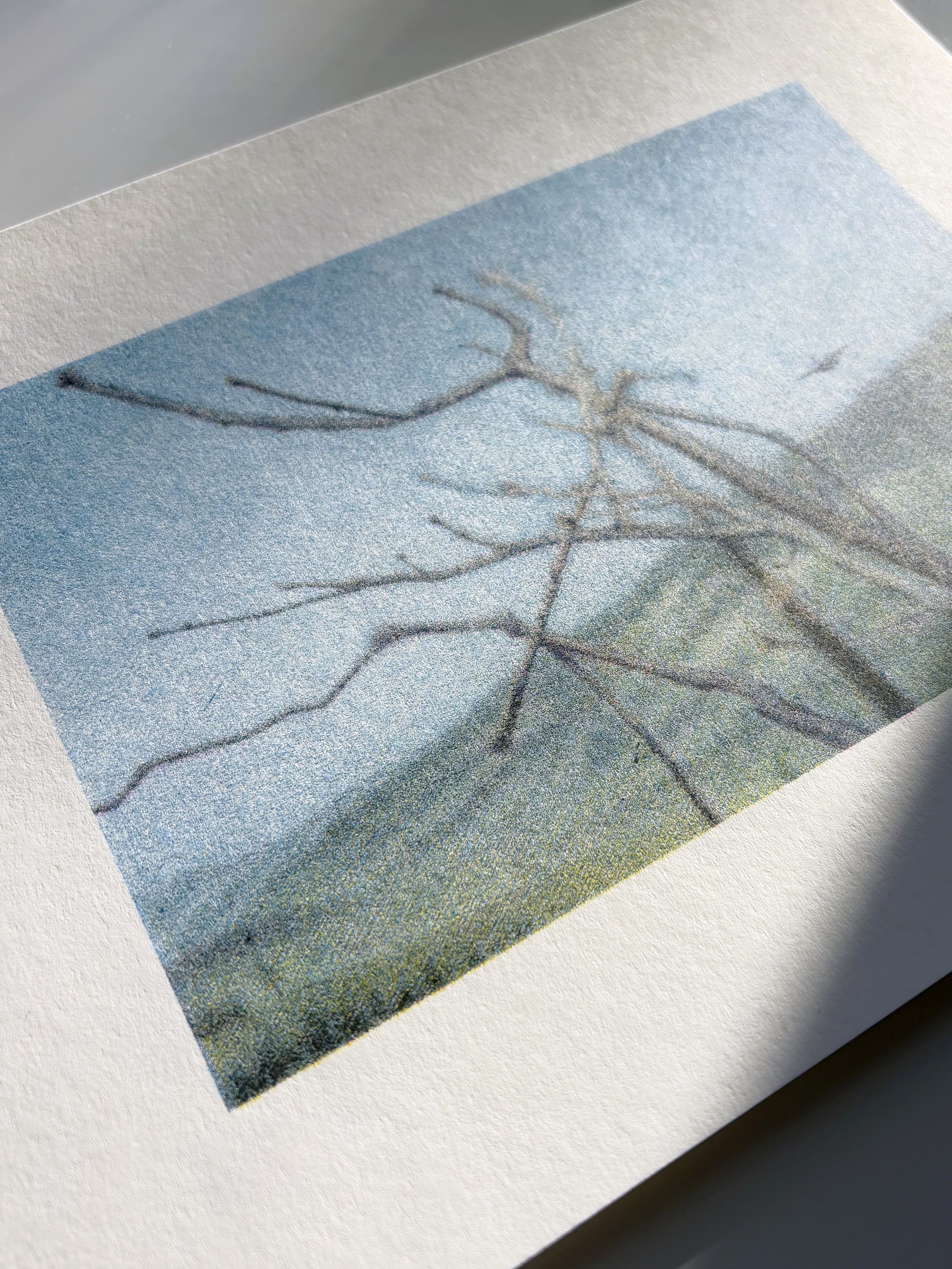 And Yet...Once More_riso_photo.jpg