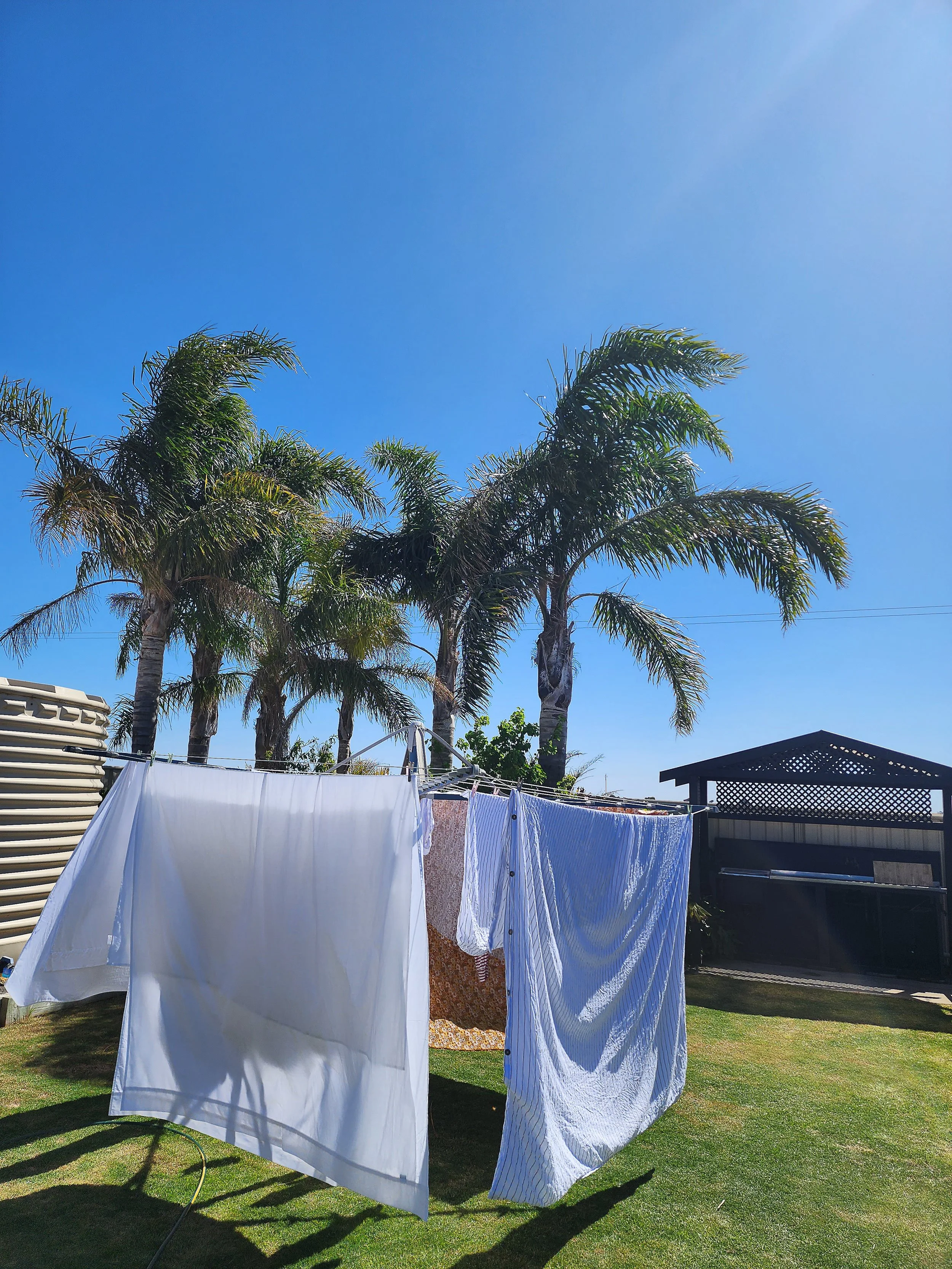 Lantana-152630 - Copy.jpg