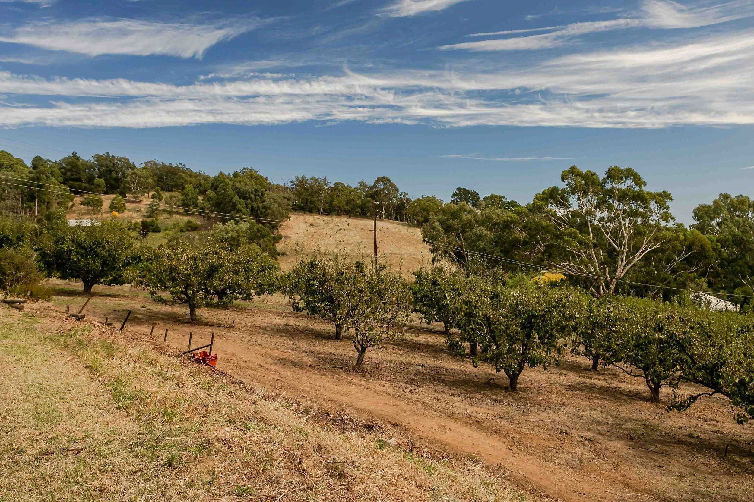 TRE-Norton Summit-20 Valley View-74-Lo Res.jpg