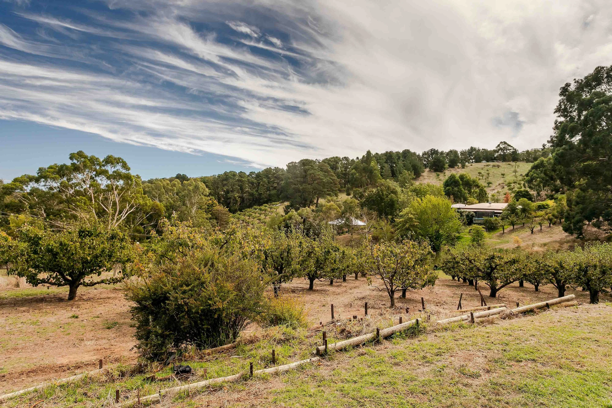 TRE-Norton Summit-20 Valley View-81-Lo Res.jpg