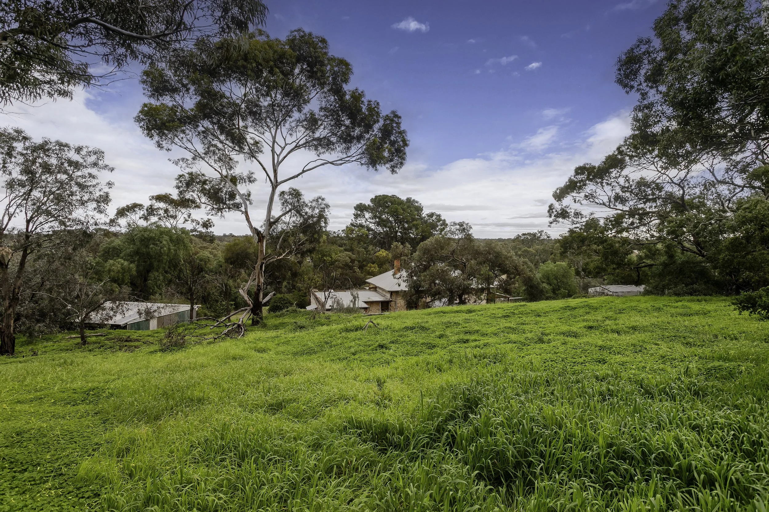 TRE-Gawler East-10 Coombe-158.jpg