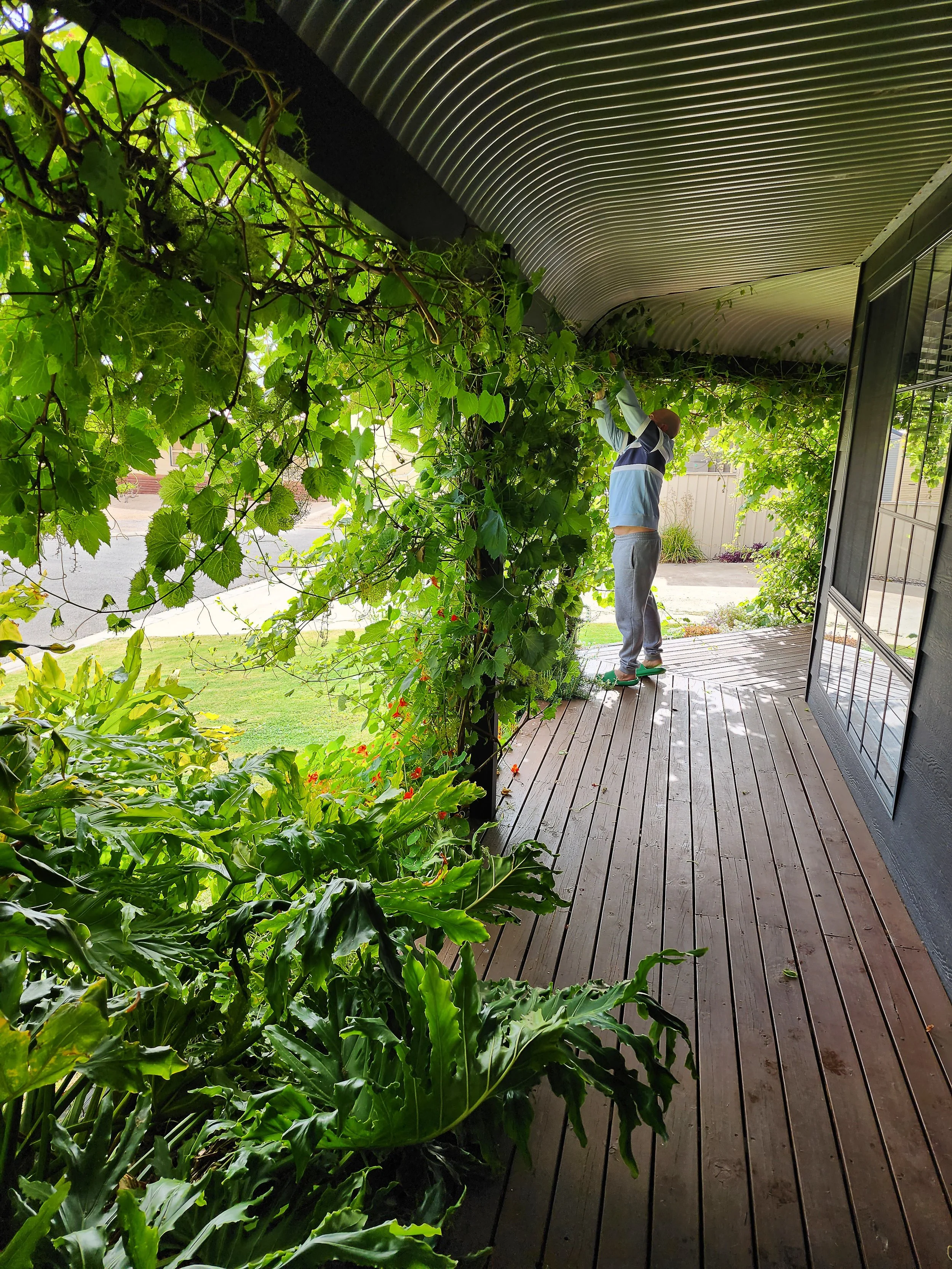 Lantana-091041 - Copy.jpg