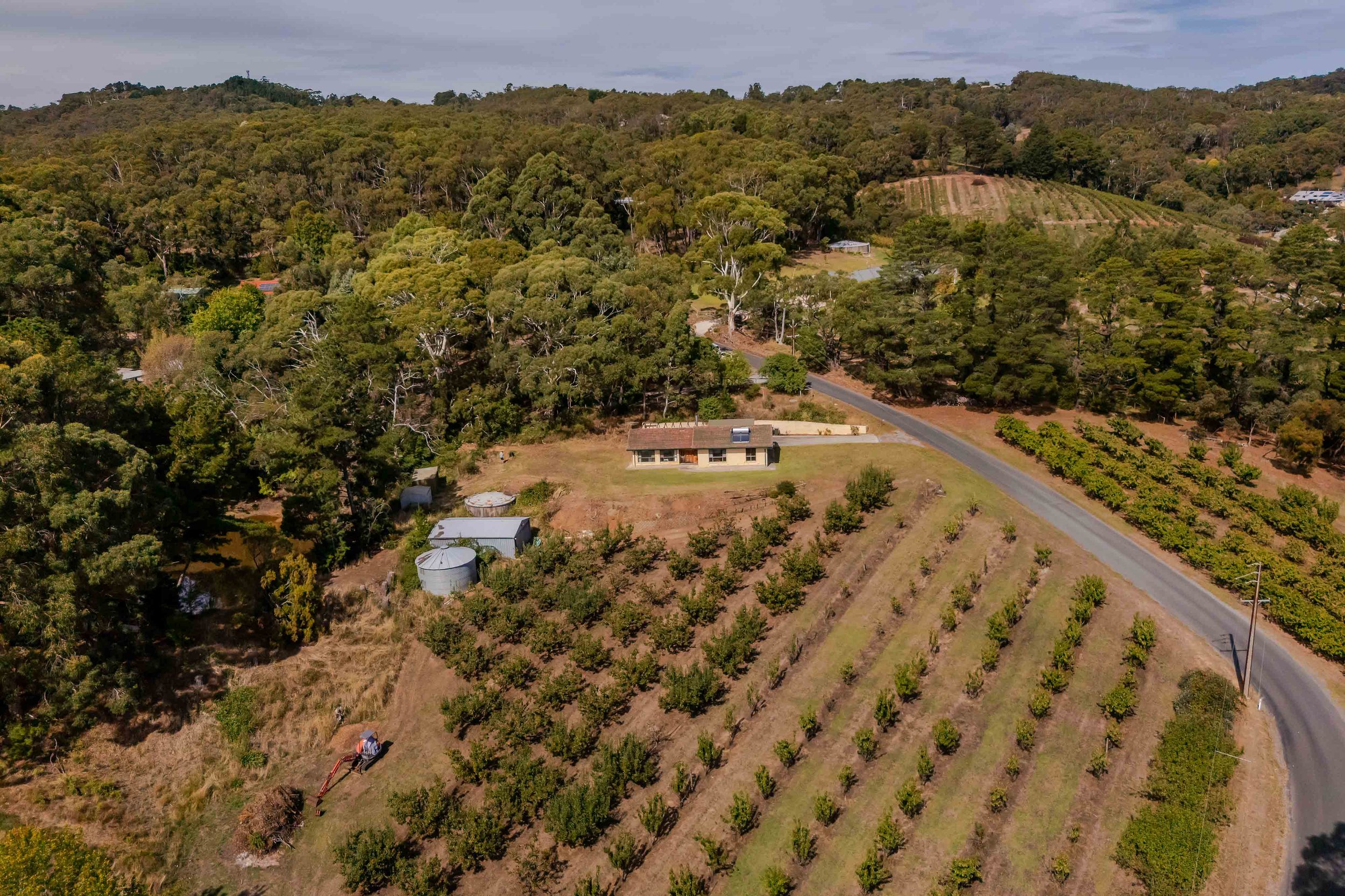 TRE-Norton Summit-20 Valley View-Drone-46-Lo Res - Copy.jpg