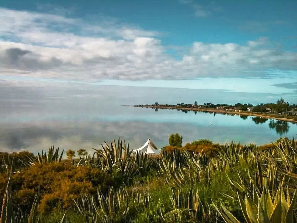 484494579_974074658249969_4428891108560075272_n - Copy.jpg