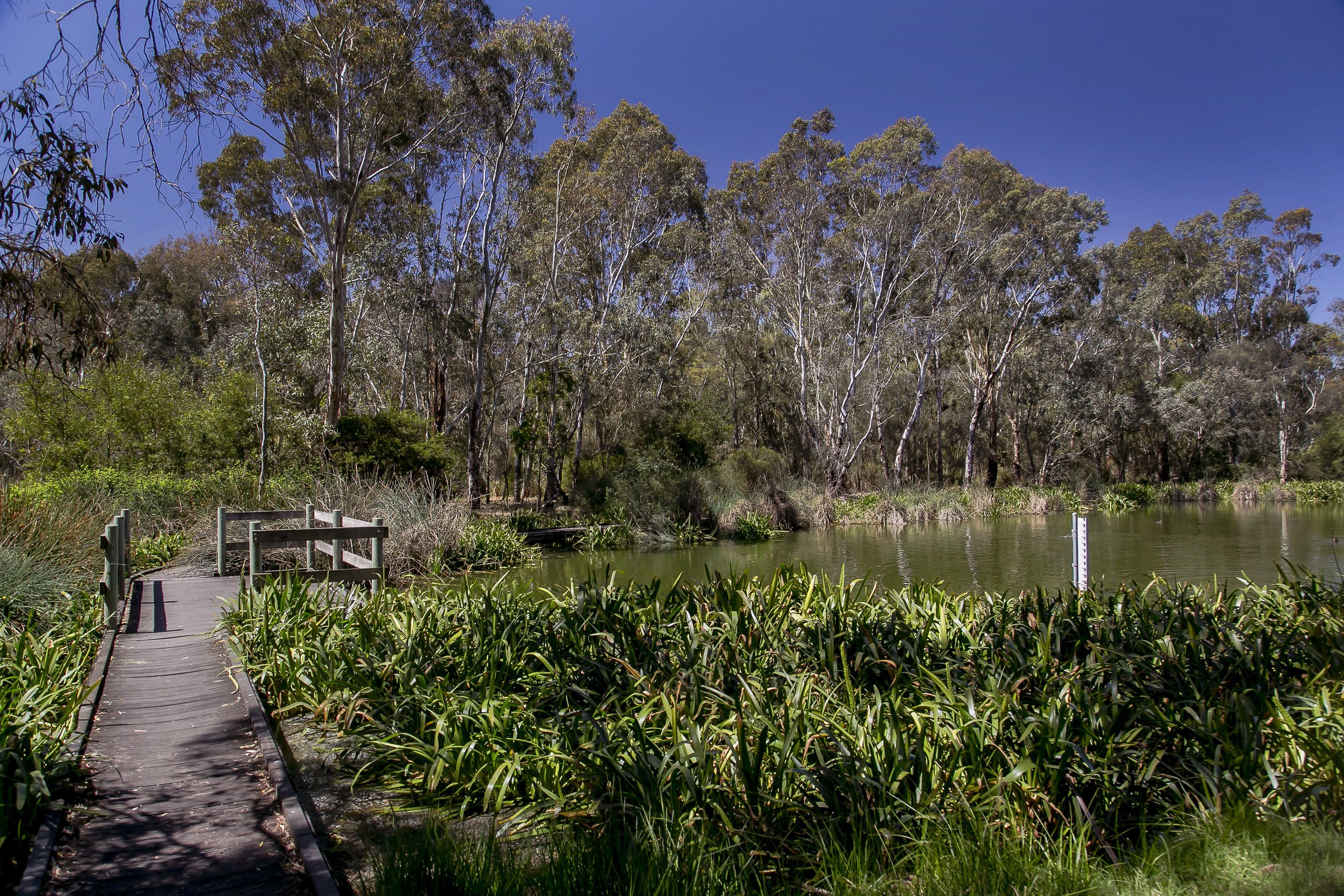 TRE-Mount Barker-31 Wellow-34.jpg