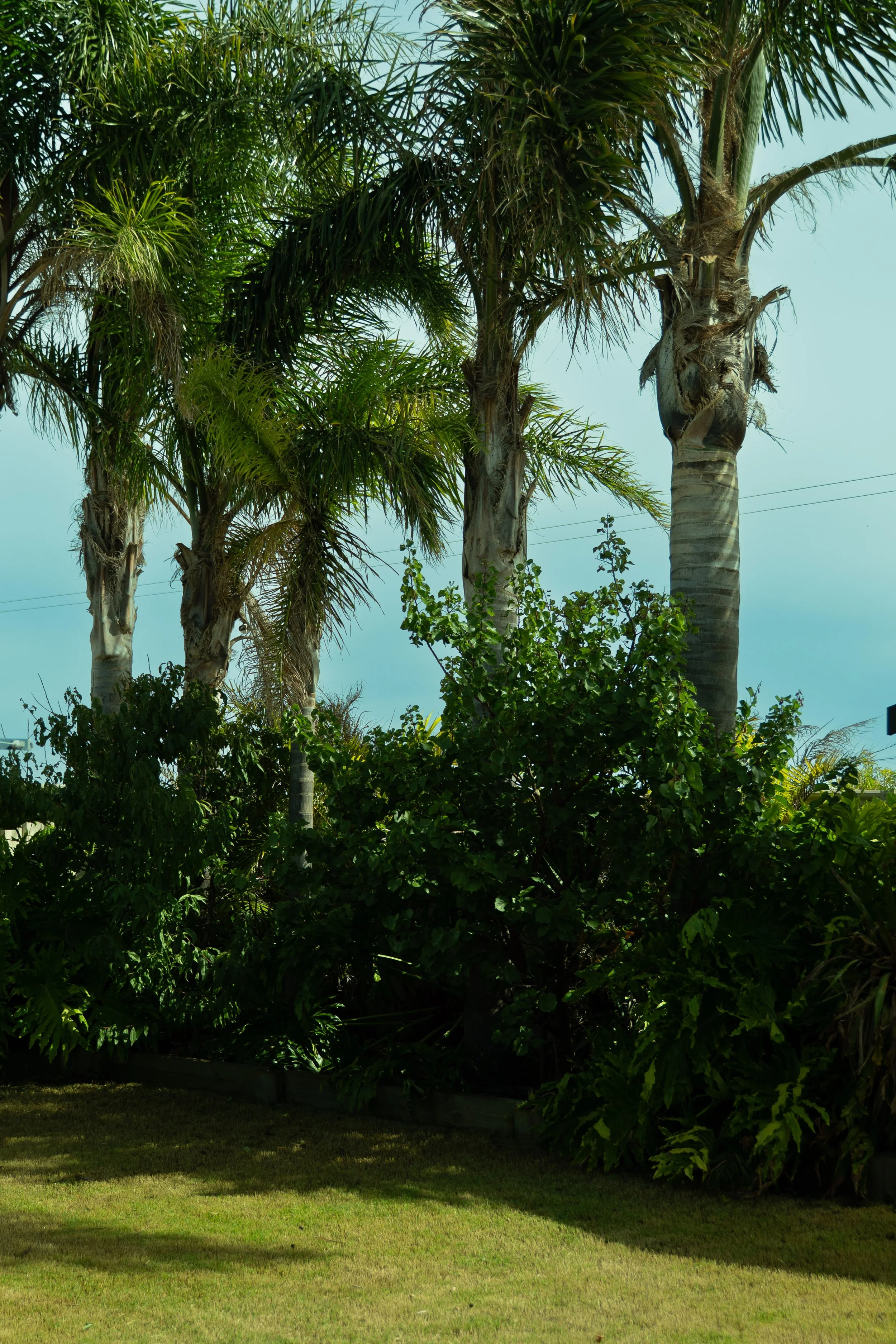 LantanaCourt-2 - Copy.jpg