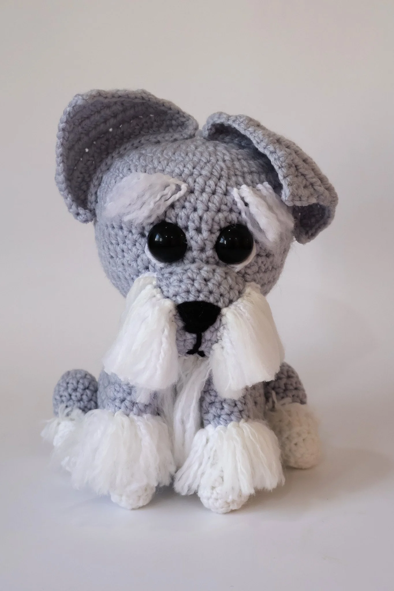 Guti Schnauzer miniatura (7).jpg
