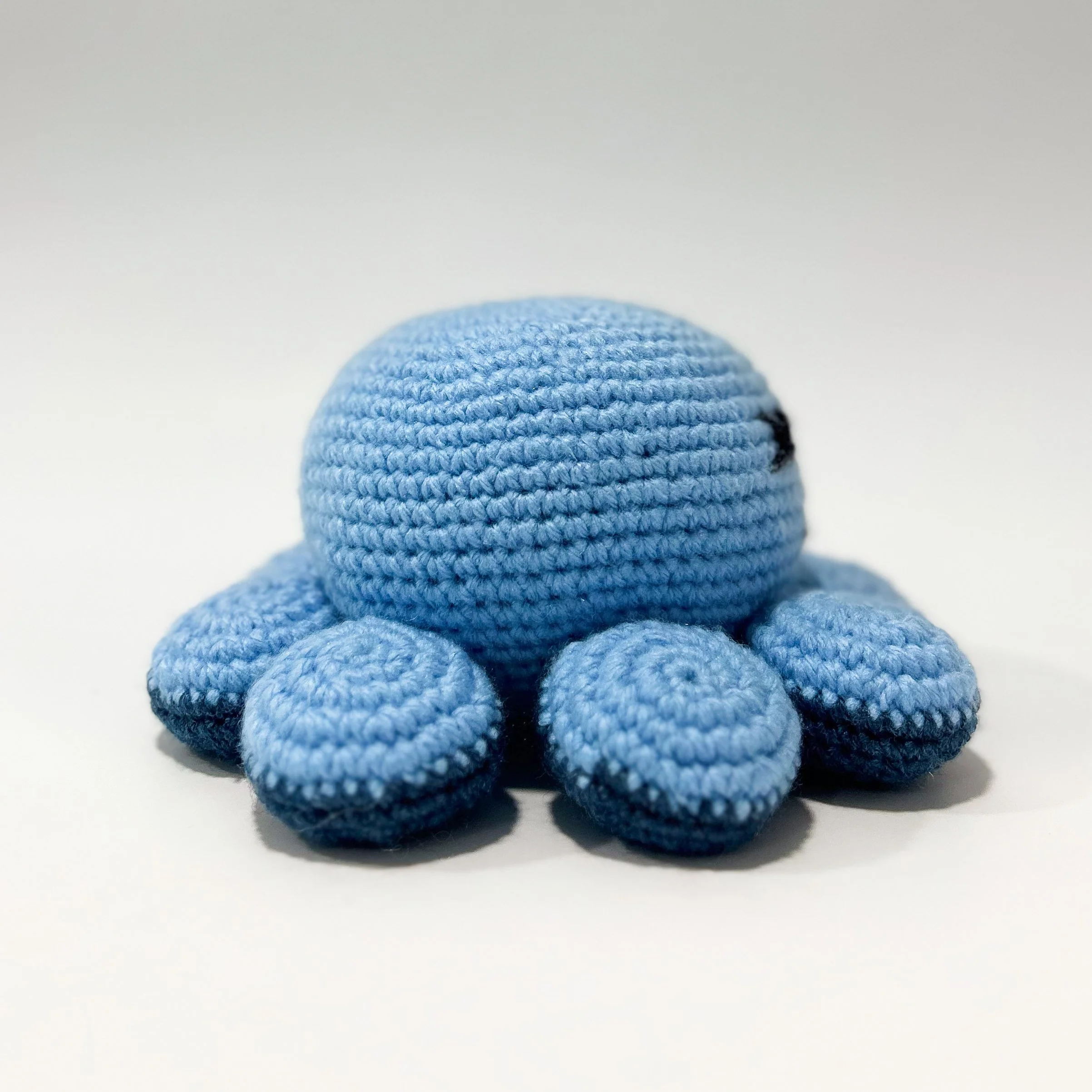 Pulpo (5).jpg