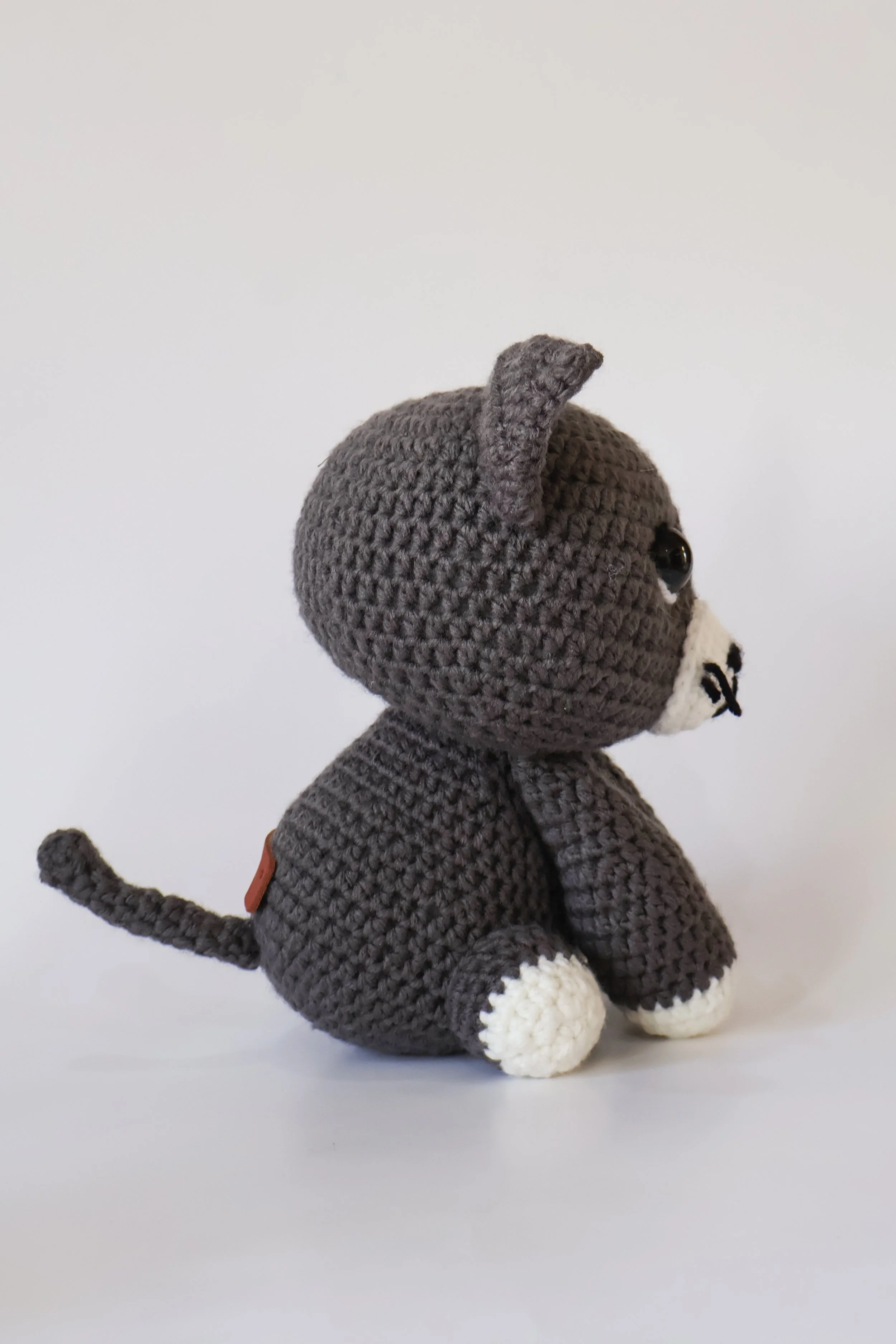 Gato (3).jpg
