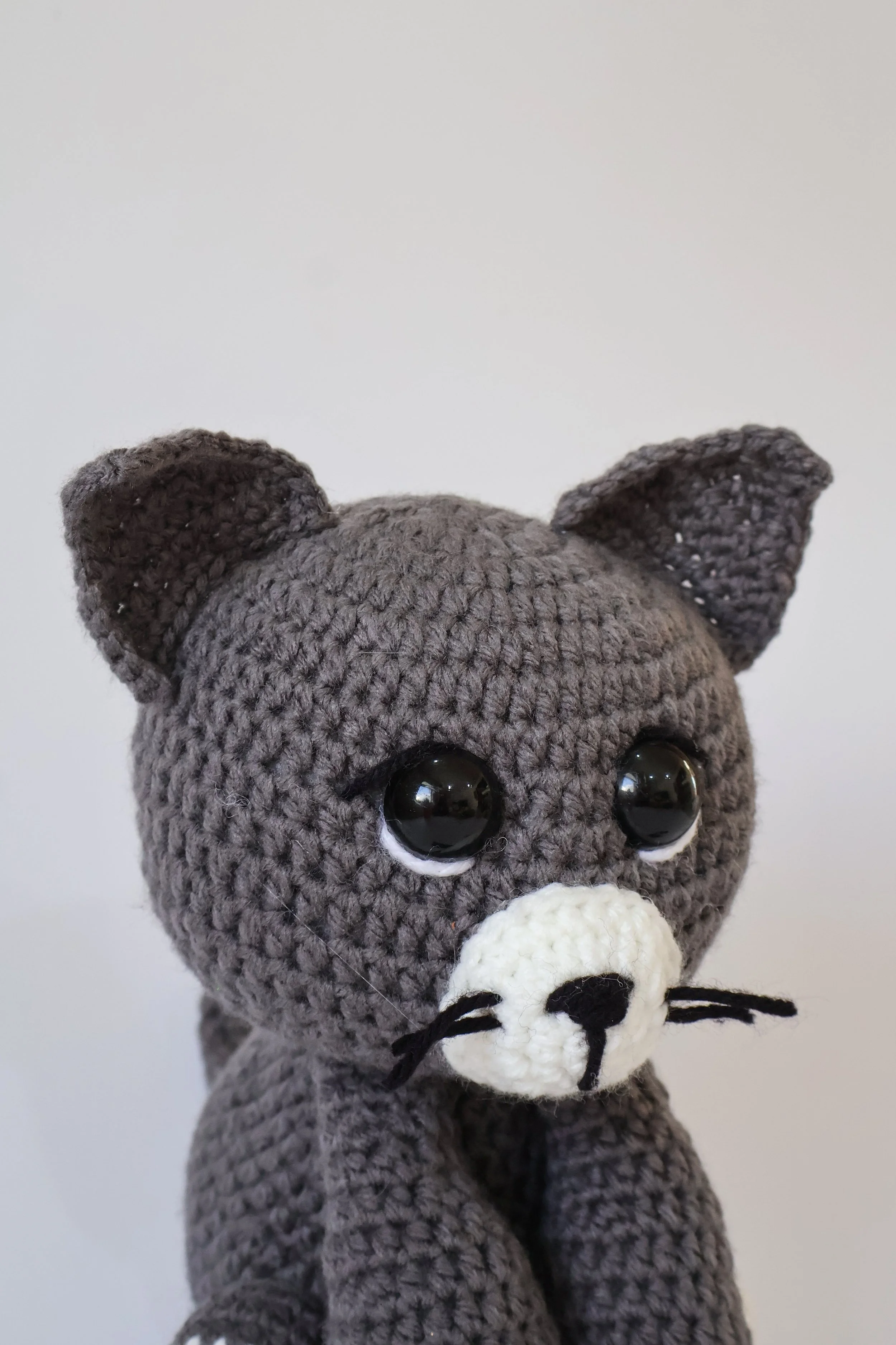 Gato (5).jpg