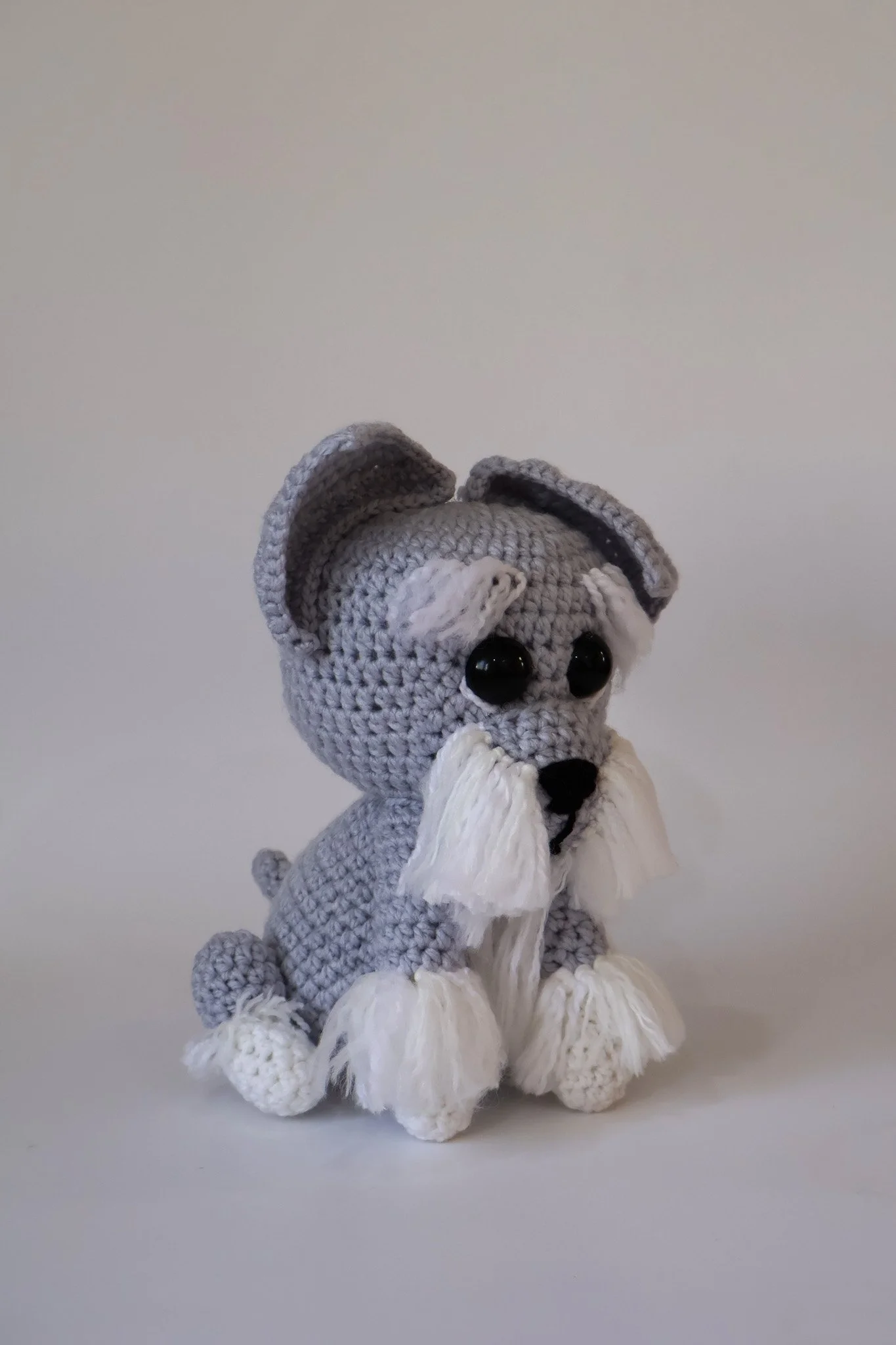 Guti Schnauzer miniatura (6).jpg