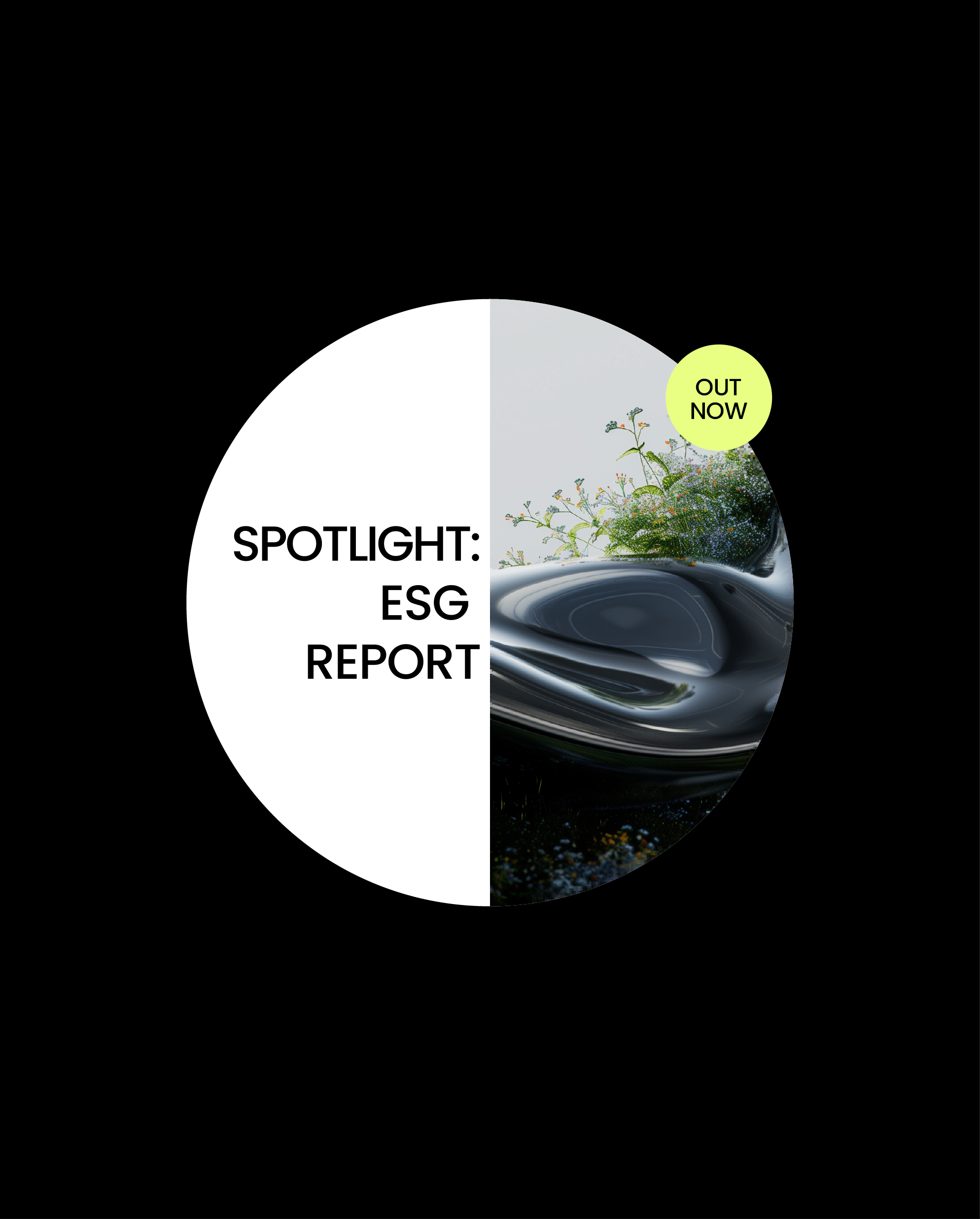 Marketplace Covers New 01.png