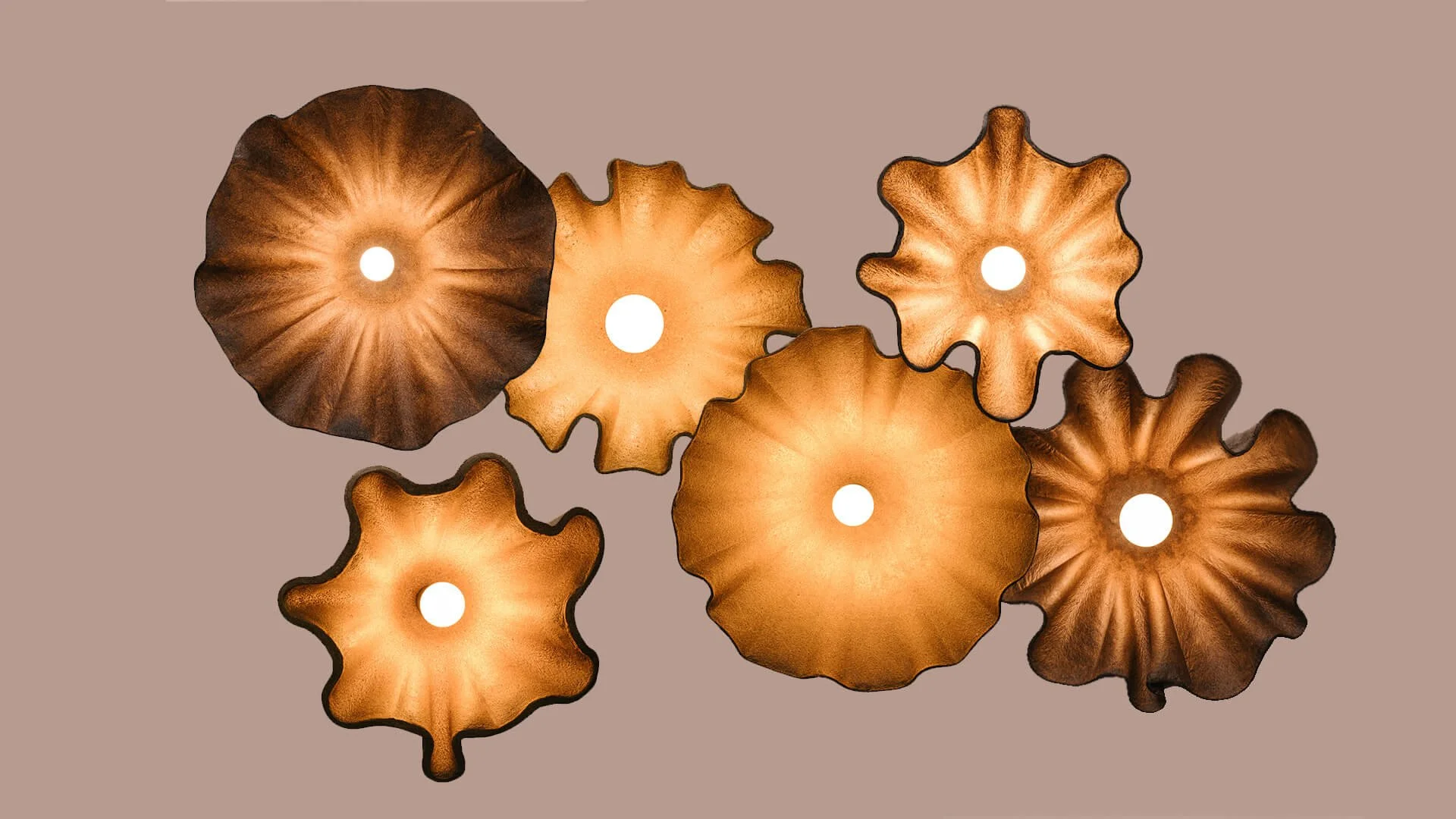 NU Design Spaces_Biohm4.jpg
