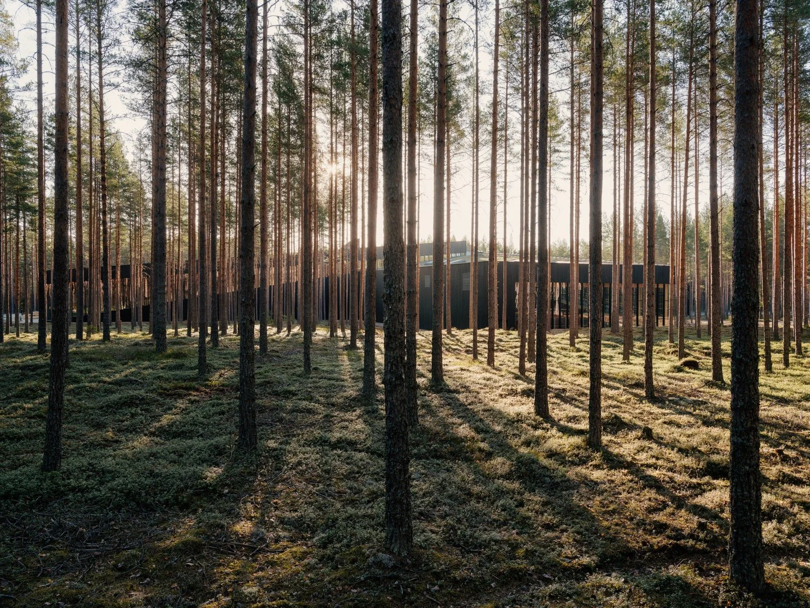 NU Design Spaces_Bjarke Ingels Group18.jpg