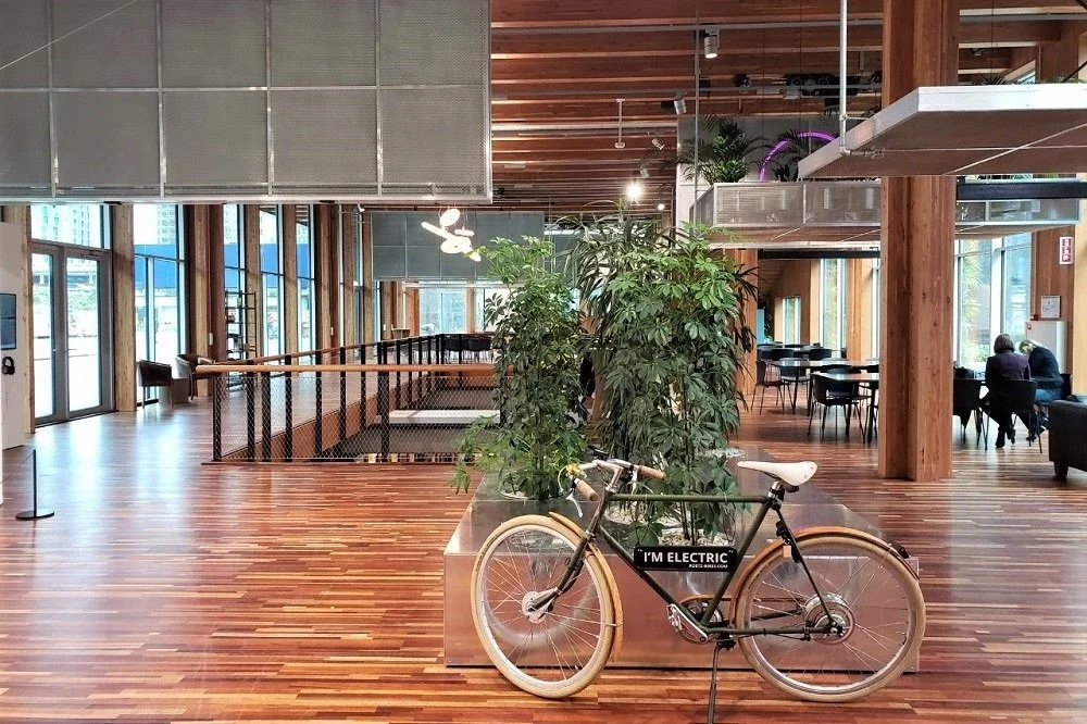 NU Design Spaces_Doepel Strijkers3.jpg
