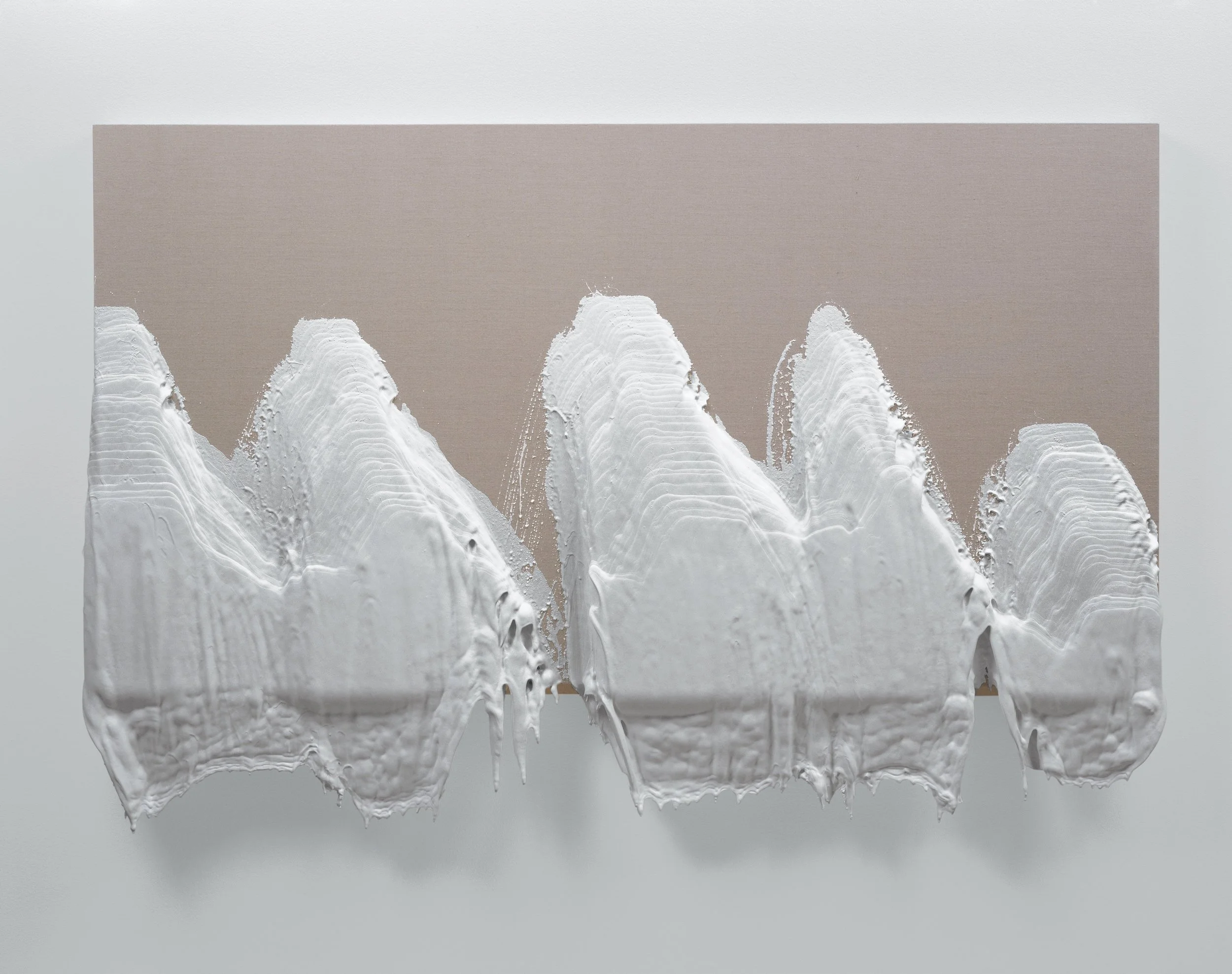 NU Design Spaces_Roxy Paine7.jpg