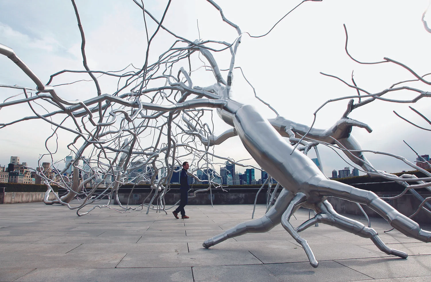 NU Design Spaces_Roxy Paine14.jpg