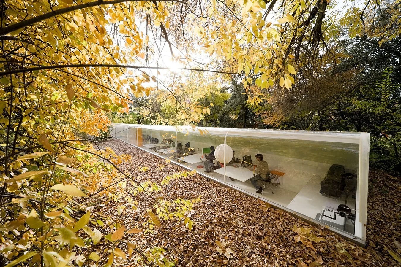NU Design Spaces_Selgascano15.jpg