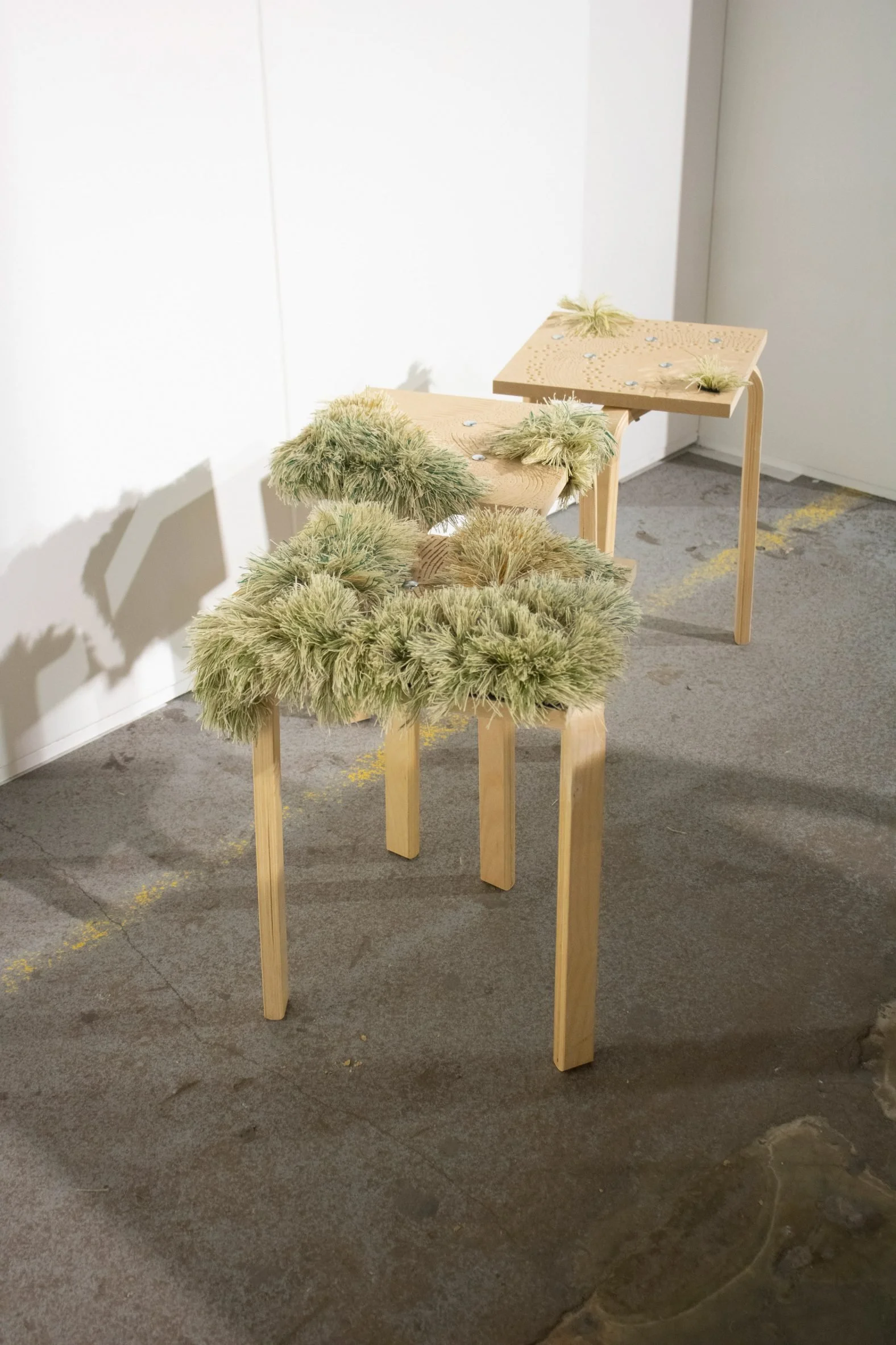 NU Design Spaces_Studio Liselot Cobelens5.jpg