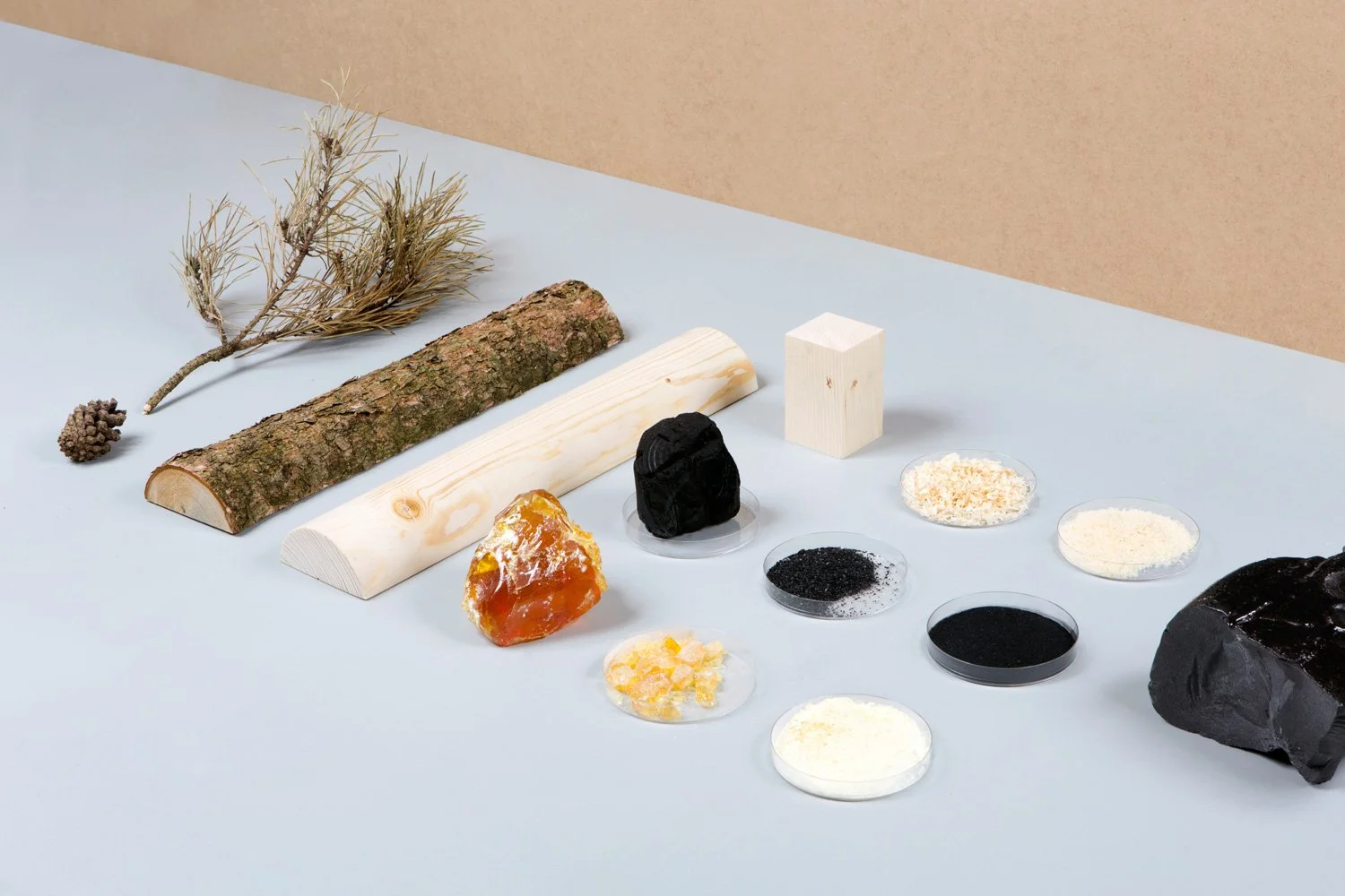NU Design Spaces_Studio Thomas Vailly 2.jpg