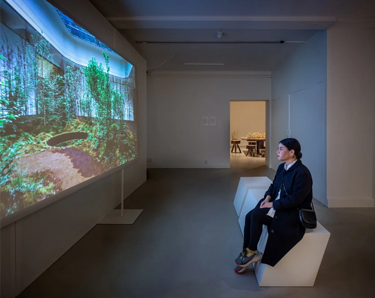 NU Design Spaces_Superflux13.jpg
