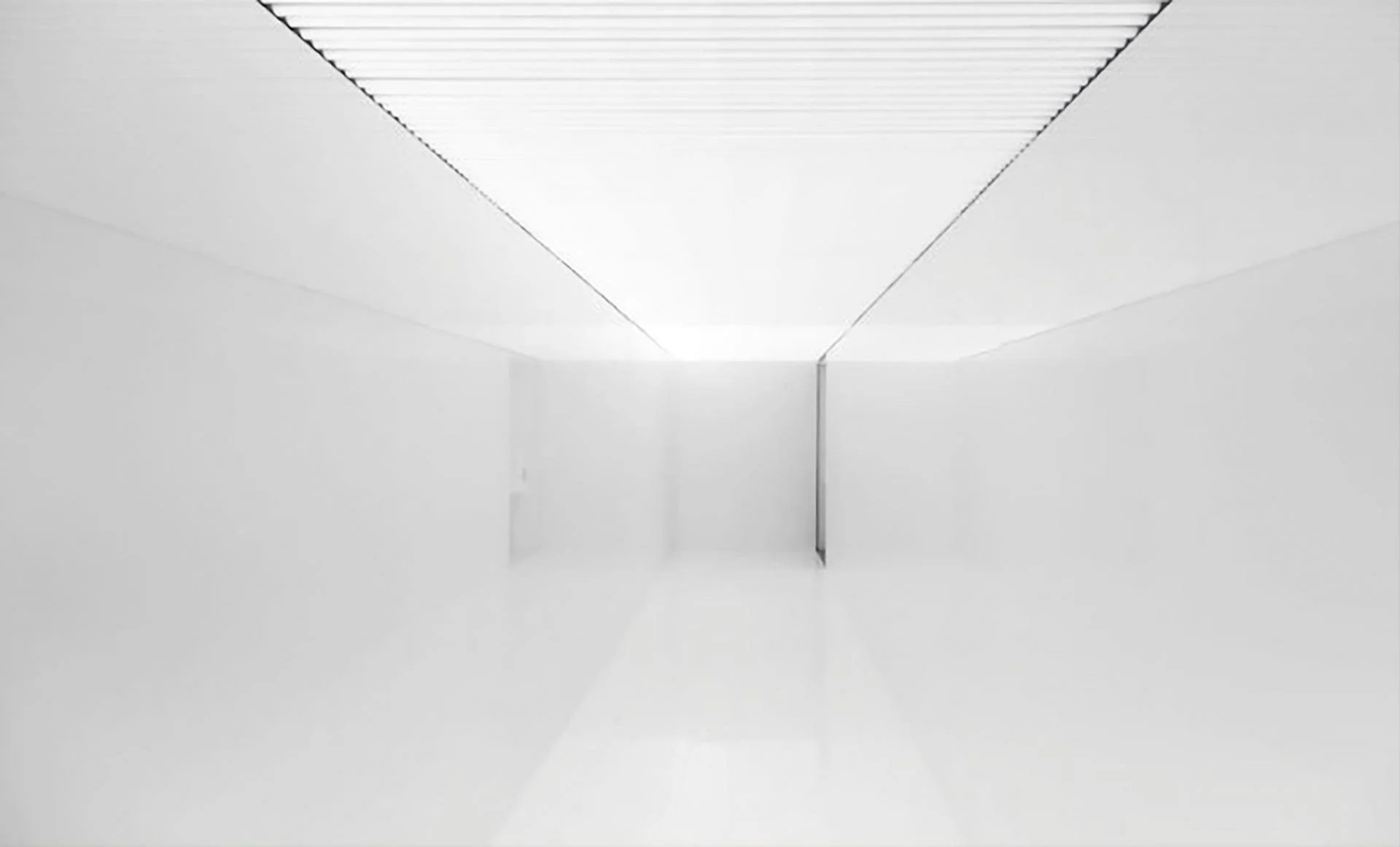 NU Design Spaces_Ryoji Ikeda6.jpg