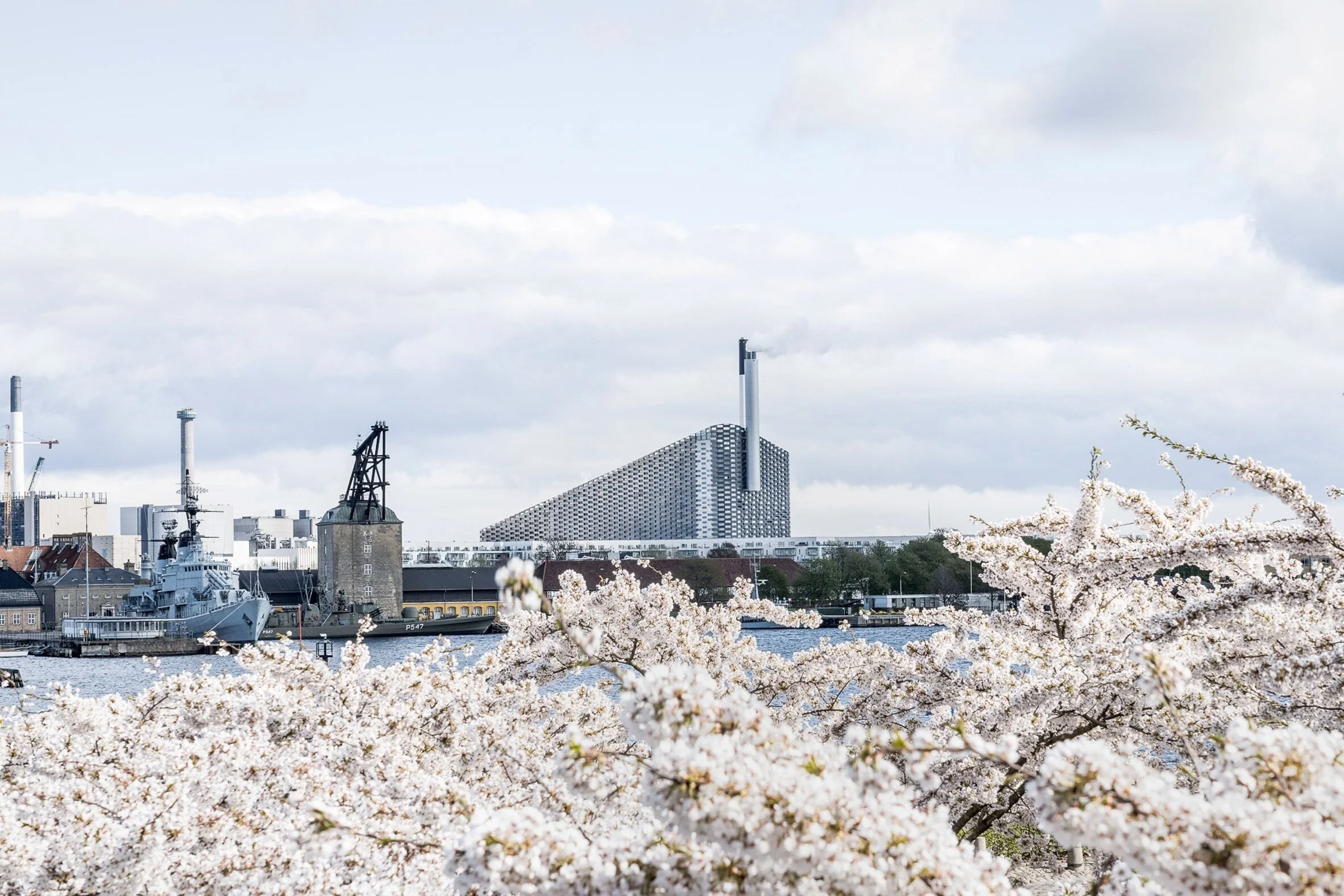 A river with pink cherry blossom trees in the foreground, a historic warship and a modern building with a tall chimney in the background under a cloudy sky.