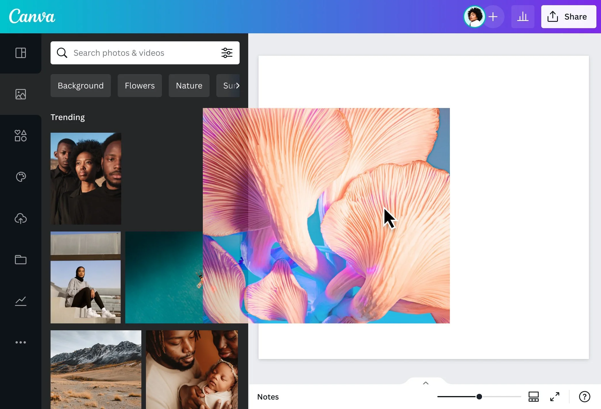 NU Design Spaces_Canva7.jpg