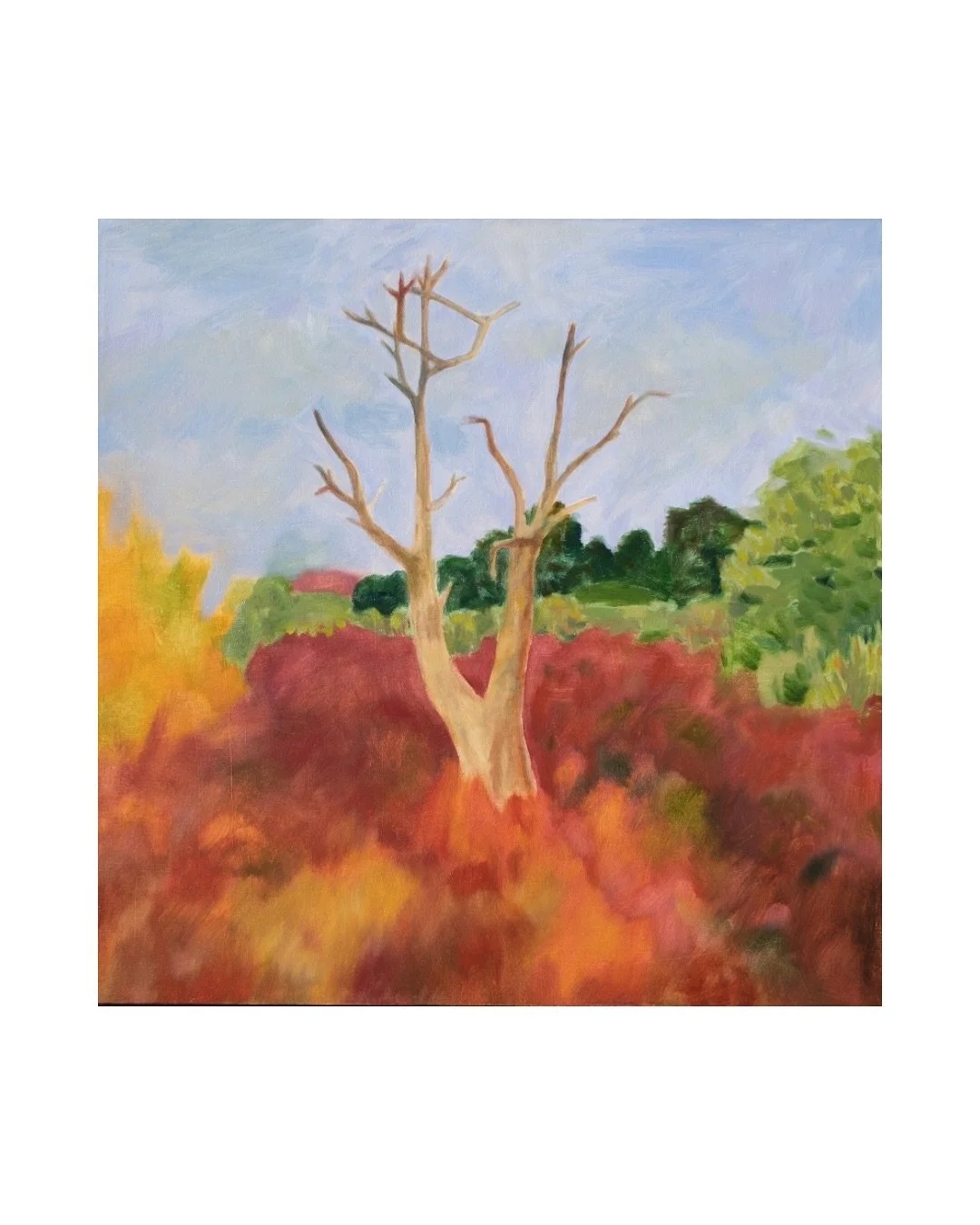 &lsquo;Where the wind burns&rsquo;
65cm x 65cm
Oil on canvas 
2025

Fire sculpted trees remain frozen, whilst life carries on around. In this piece beauty is found in what&rsquo;s lost and lives. 

Currently being shown at @gallerythirteenhaslemere 
