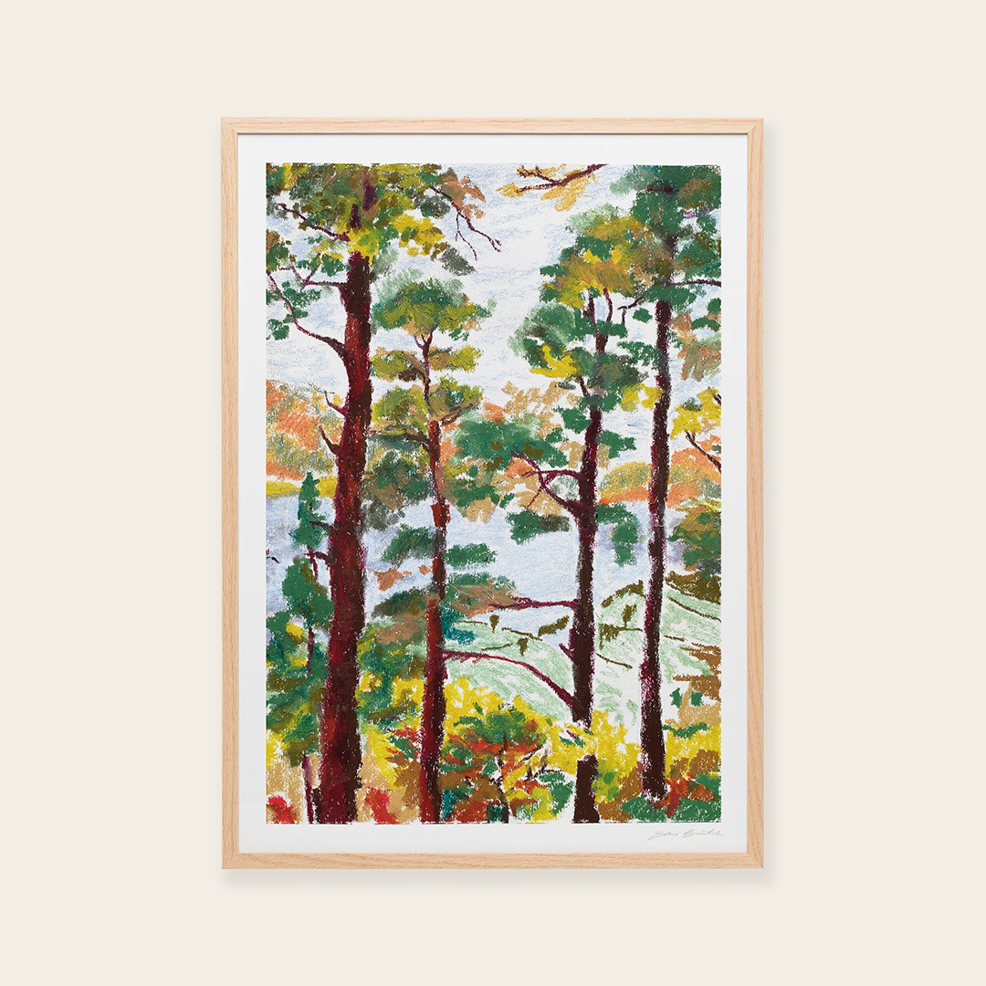 EB Prints frame Lakes 02.png