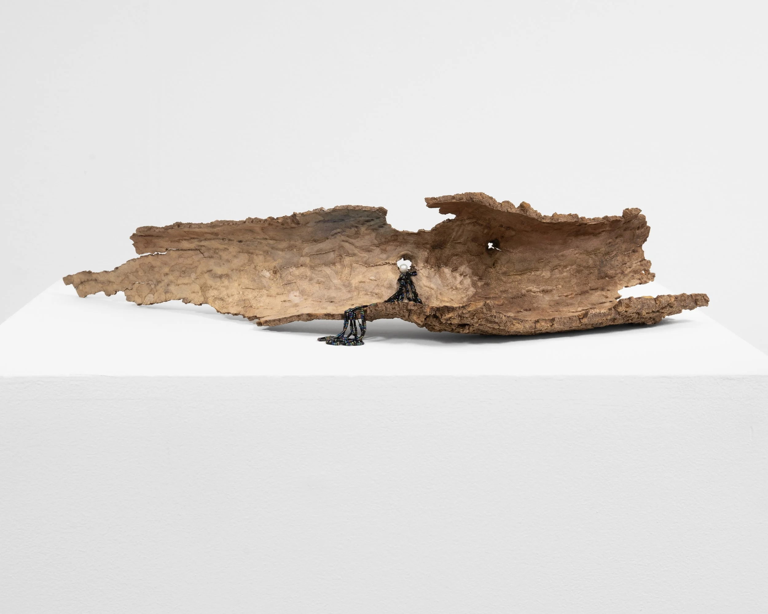 We Will Never Meet 
found tree bark, plastic pearl, beads, string, seashell, mica powder 
2021, 5" x 25" x 10" 