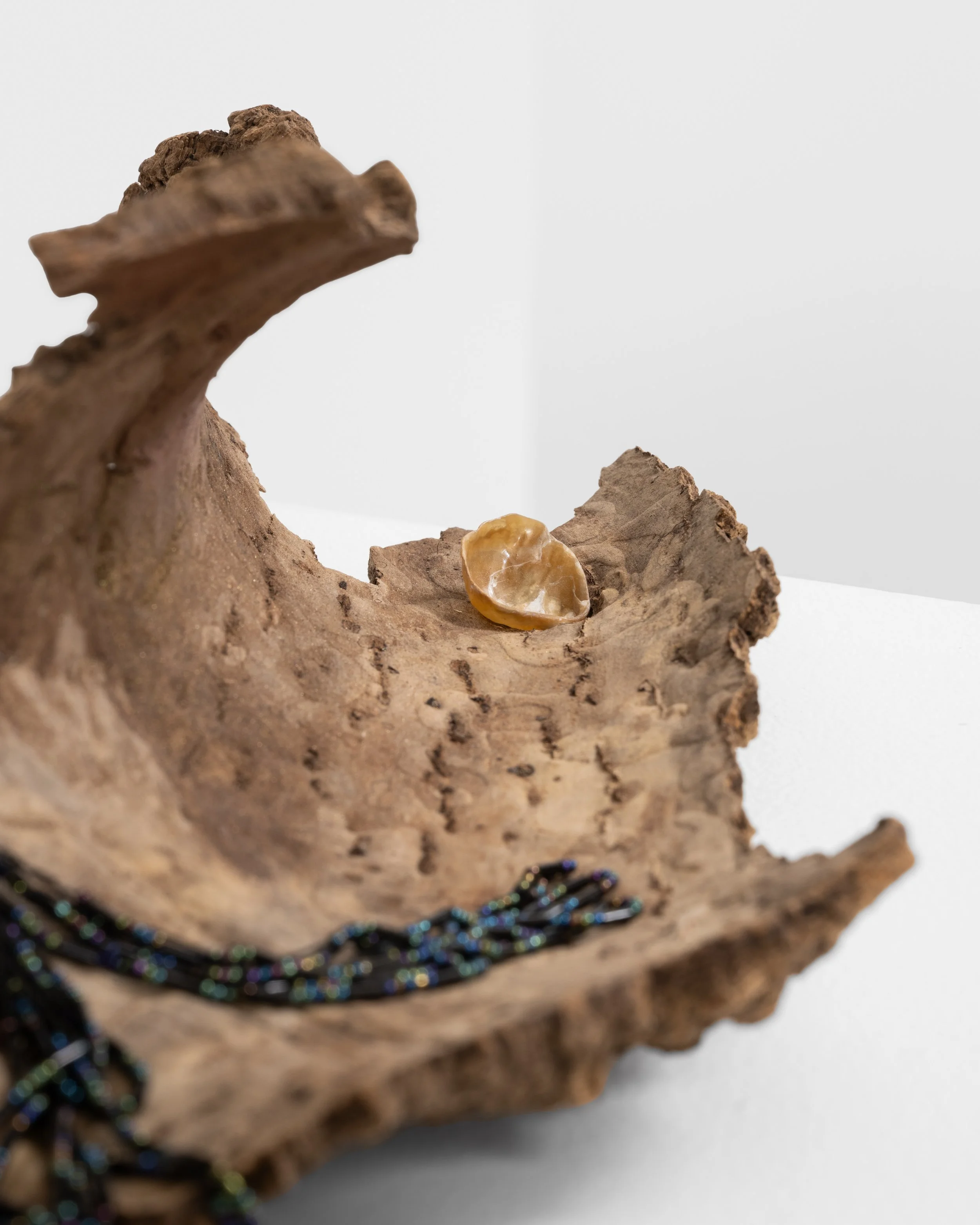 We Will Never Meet 
found tree bark, plastic pearl, beads, string, seashell, mica powder 
2021, 5" x 25" x 10" 