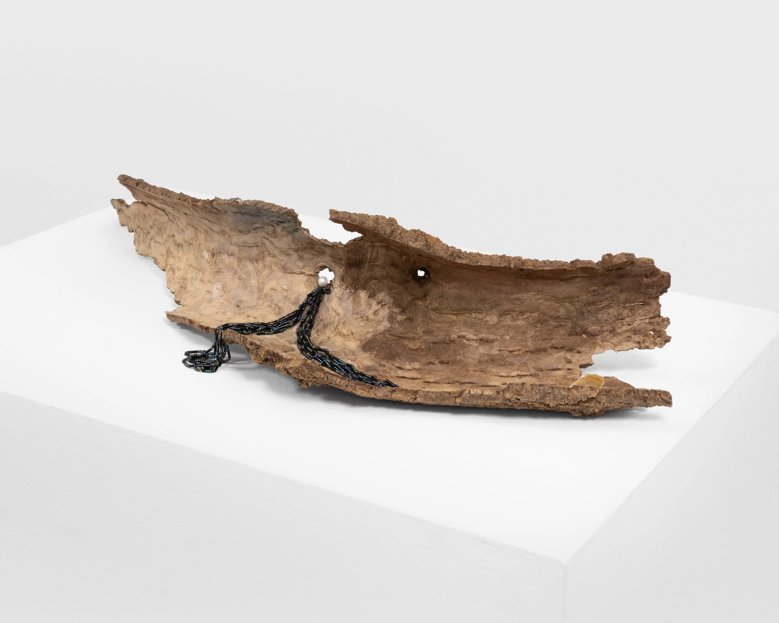We Will Never Meet 
found tree bark, plastic pearl, beads, string, seashell, mica powder 
2021, 5" x 25" x 10" 