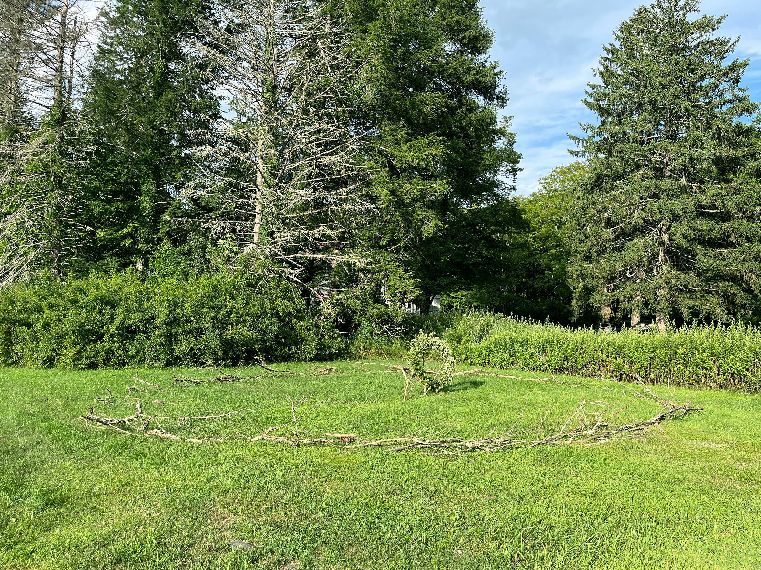 Passage
mugwort, bailing wire, fallen Norway spruce branches placed in the circumference of 100 of my footsteps, one foot step for every year of my grandmother’s life
2024, 36” x 33’ x 33’