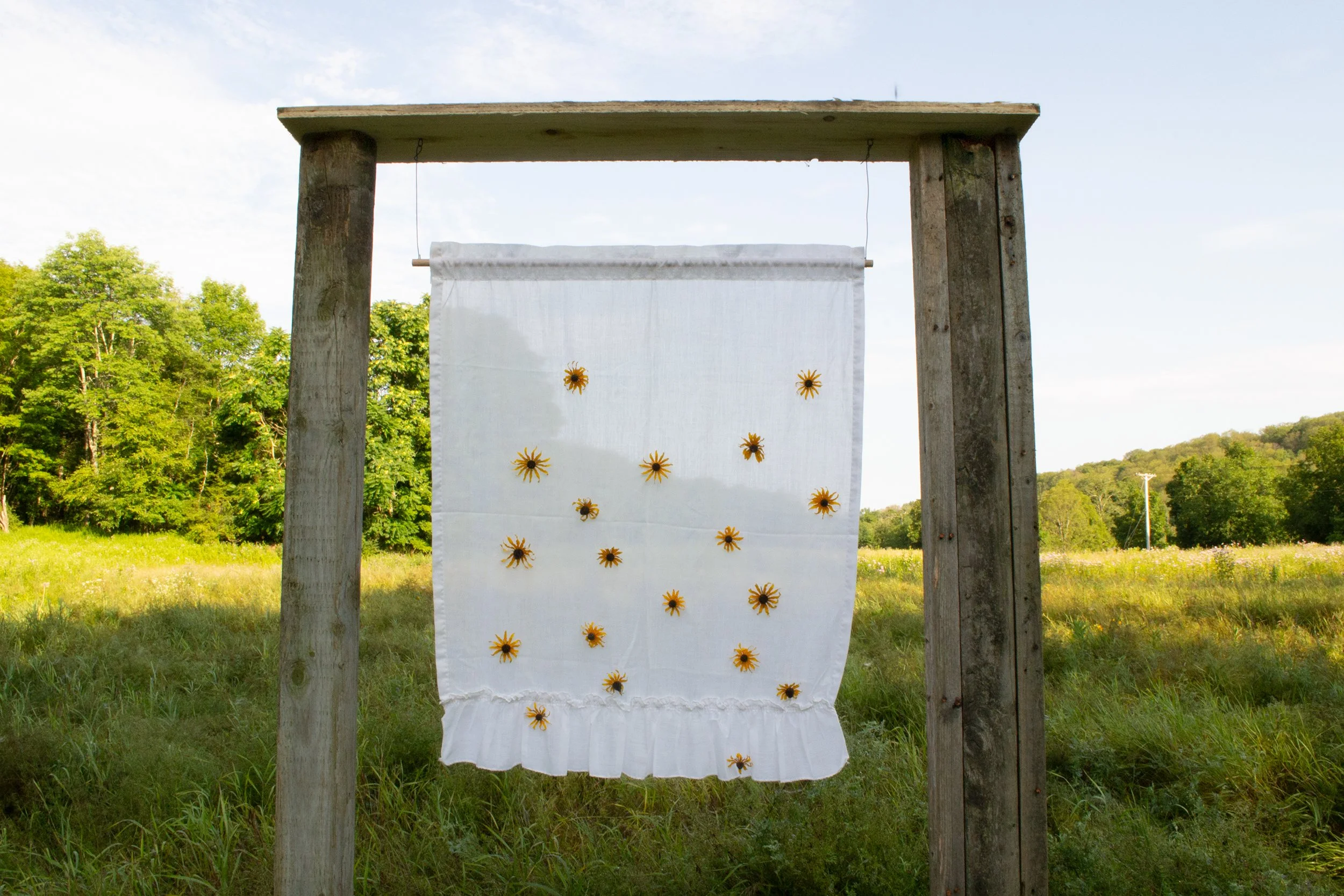On My Own
salvaged clothing line posts, pine, bailing wire, my mother’s curtain, 19 black eyed Susans
2024, 81” x 42” x 26”