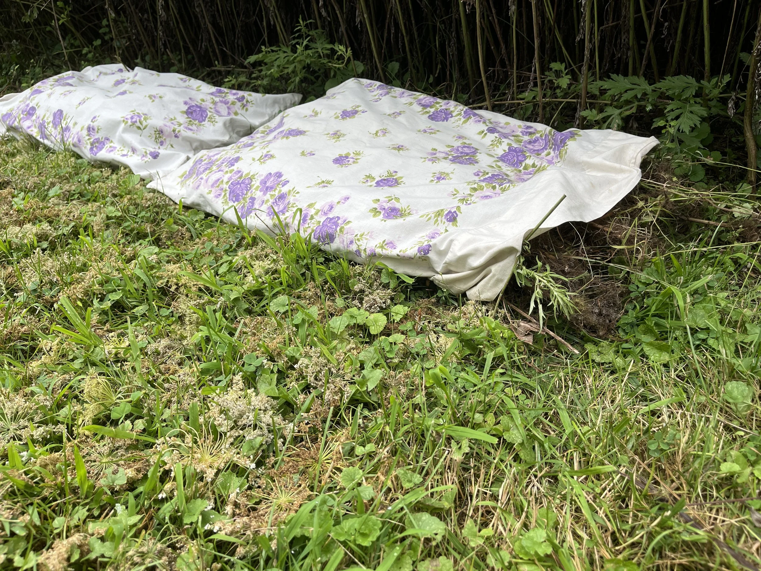 "Rest?"
my mother’s pillow cases stuffed with mugwort, Queen Anne’s lace, placed in front of a mugwort field
2024, 7” x 60” x 80”