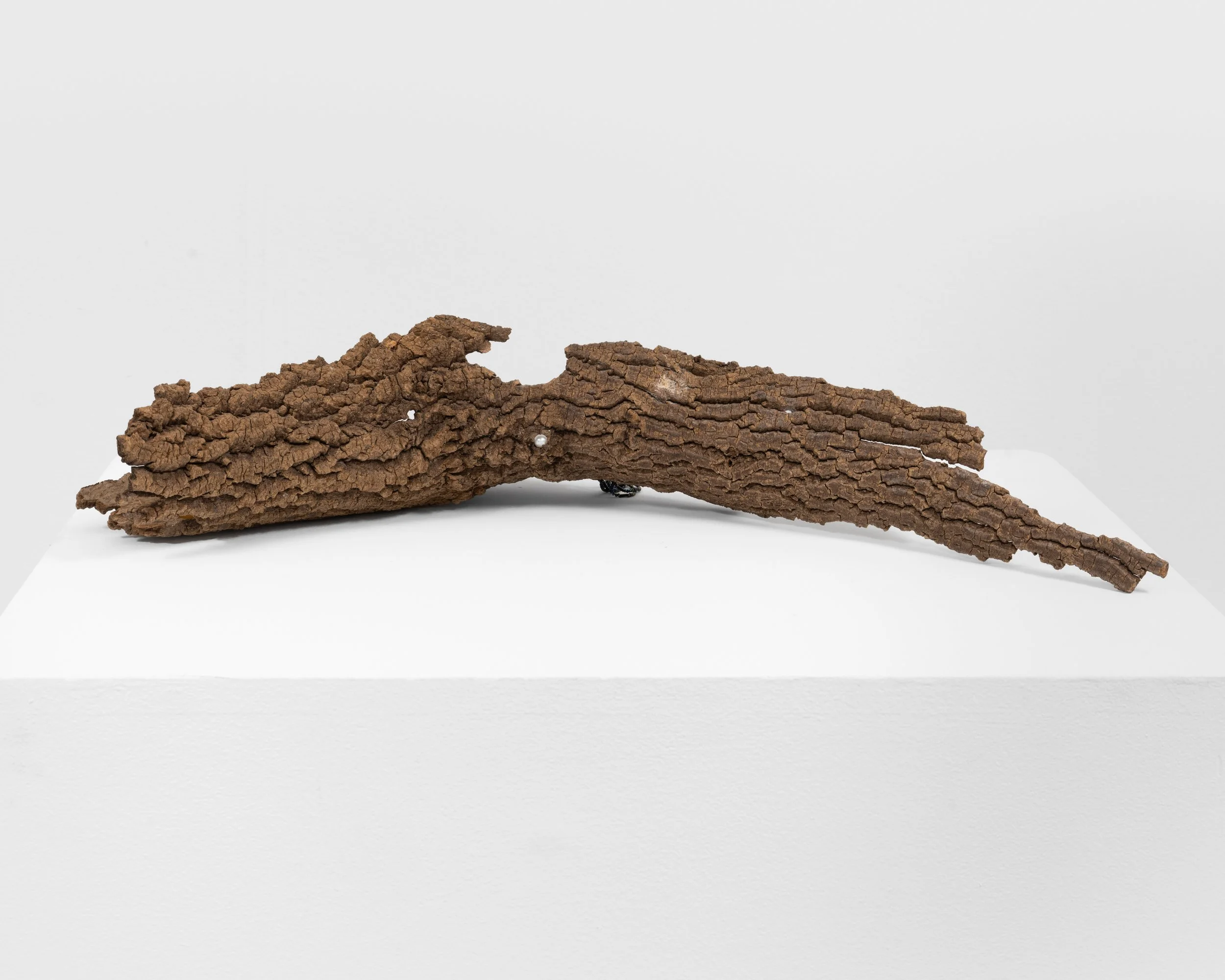 We Will Never Meet 
found tree bark, plastic pearl, beads, string, seashell, mica powder 
2021, 5" x 25" x 10" 