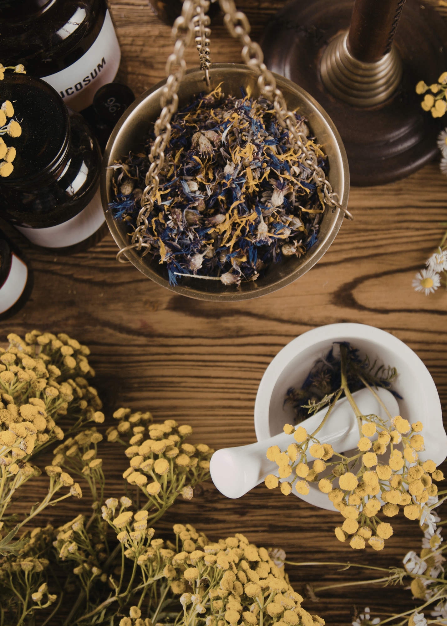 Sound Mind Social- Free Community Event