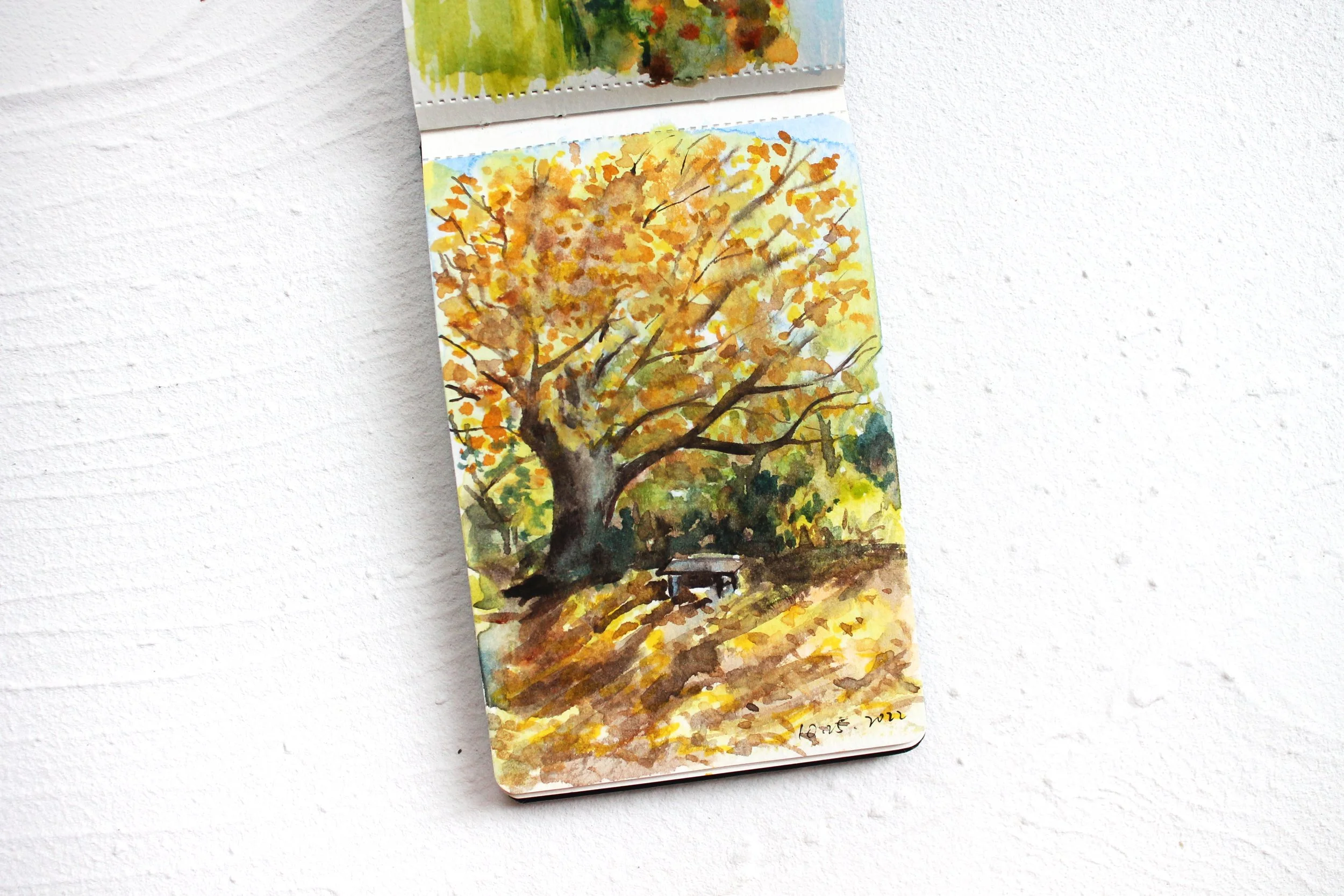 Macricostas Preserve