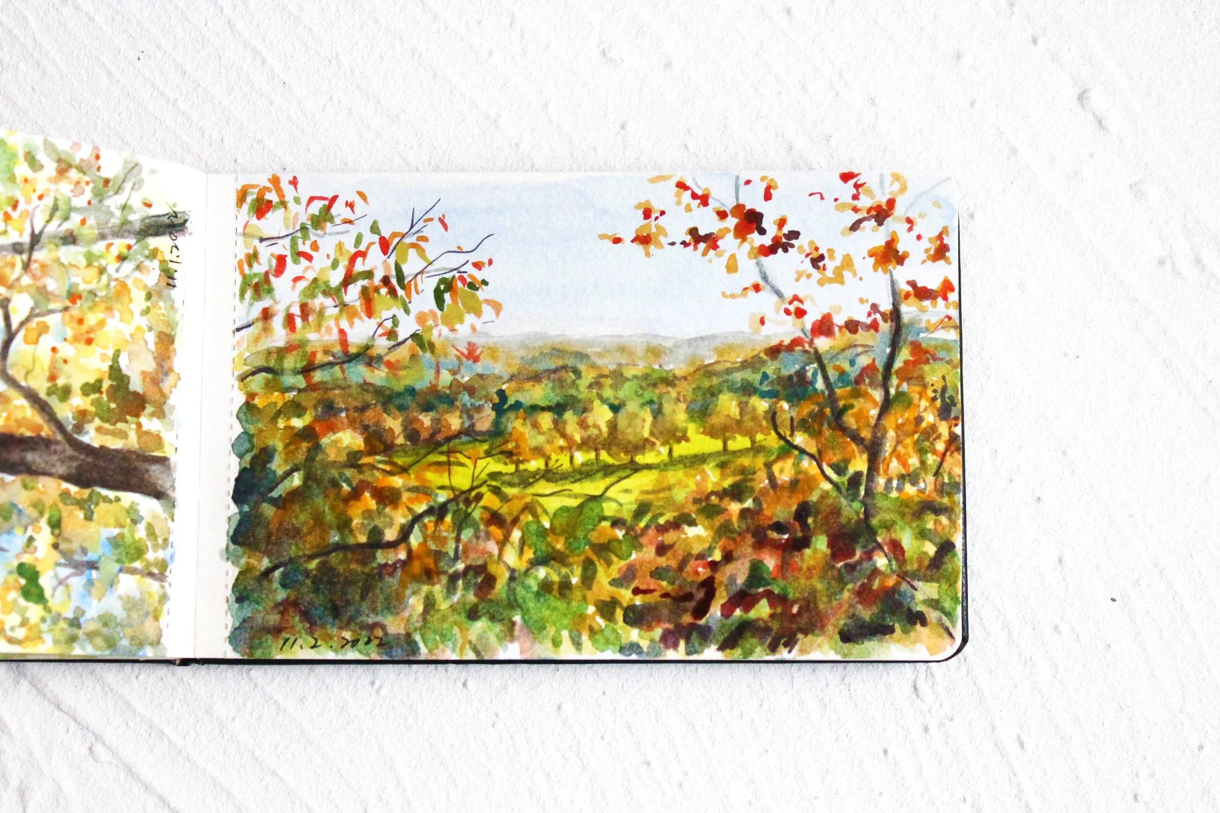 Macricostas Preserve