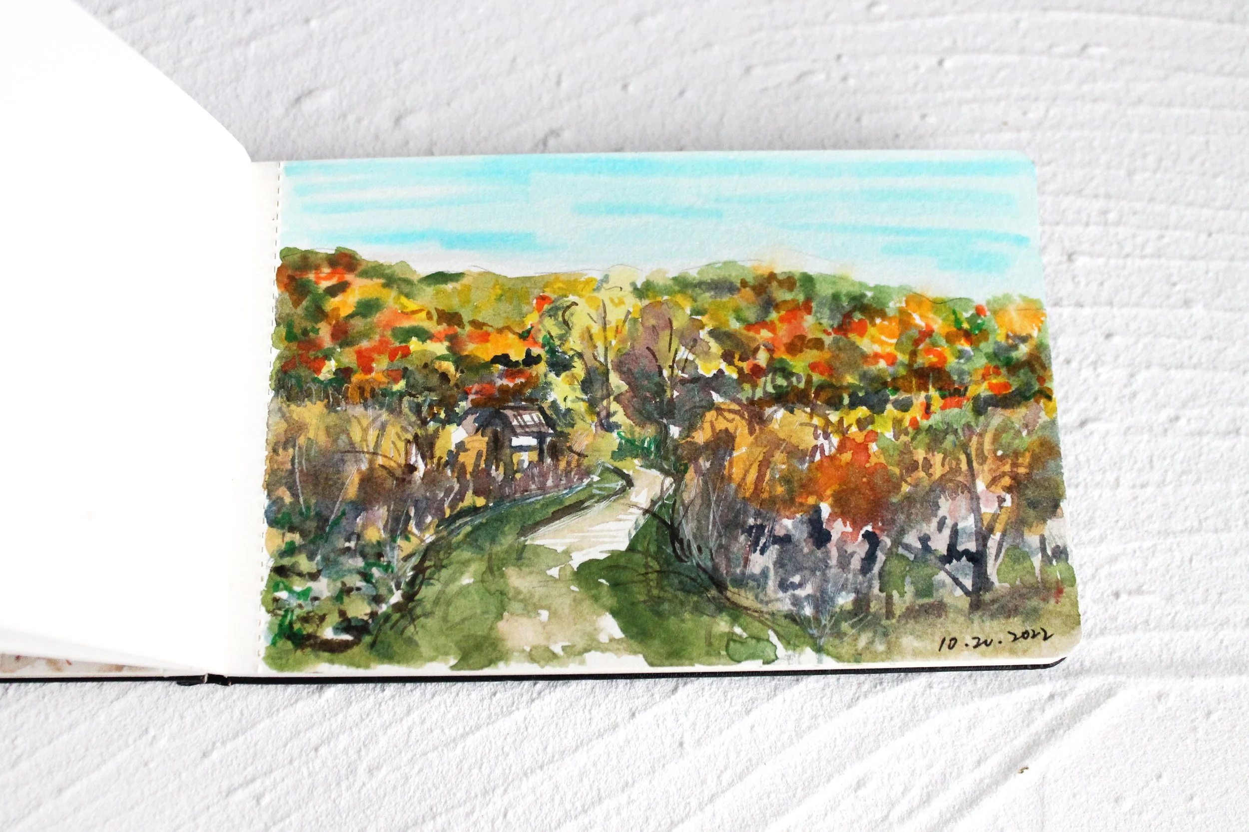 Macricostas Preserve