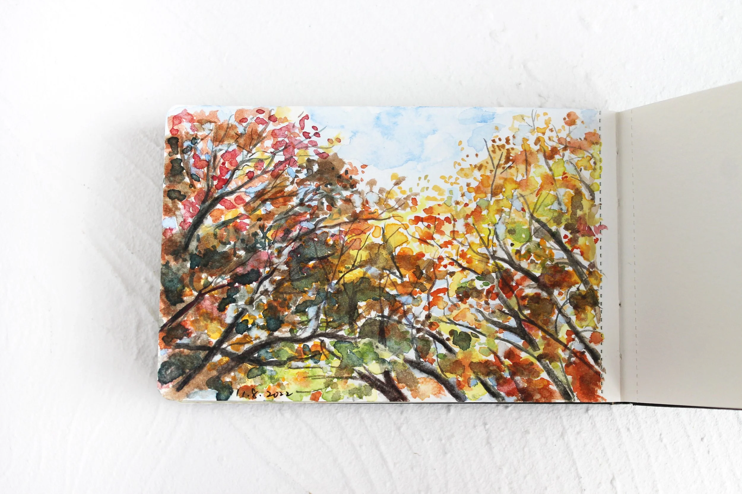 Back yard in New Milford