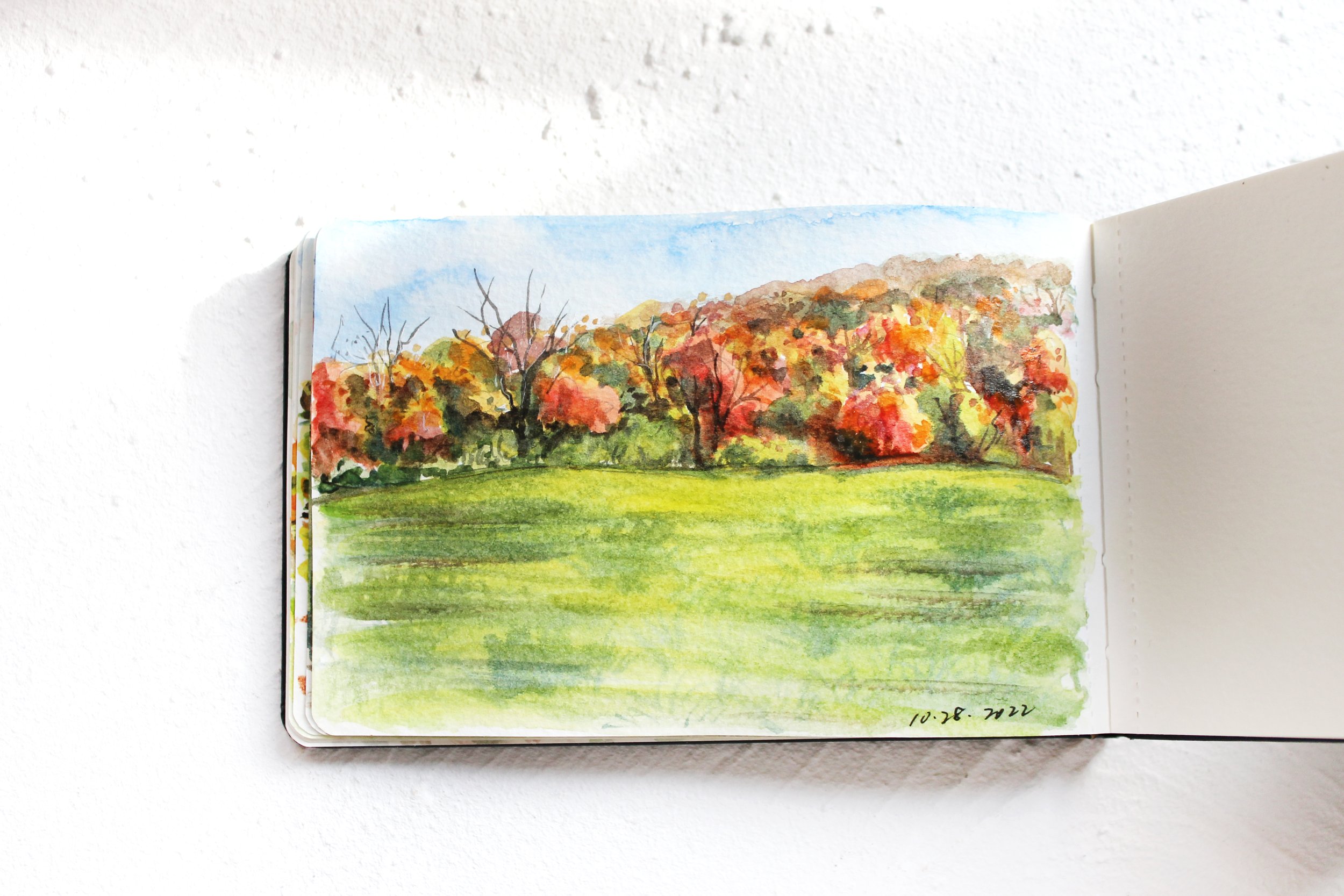 Macricostas Preserve