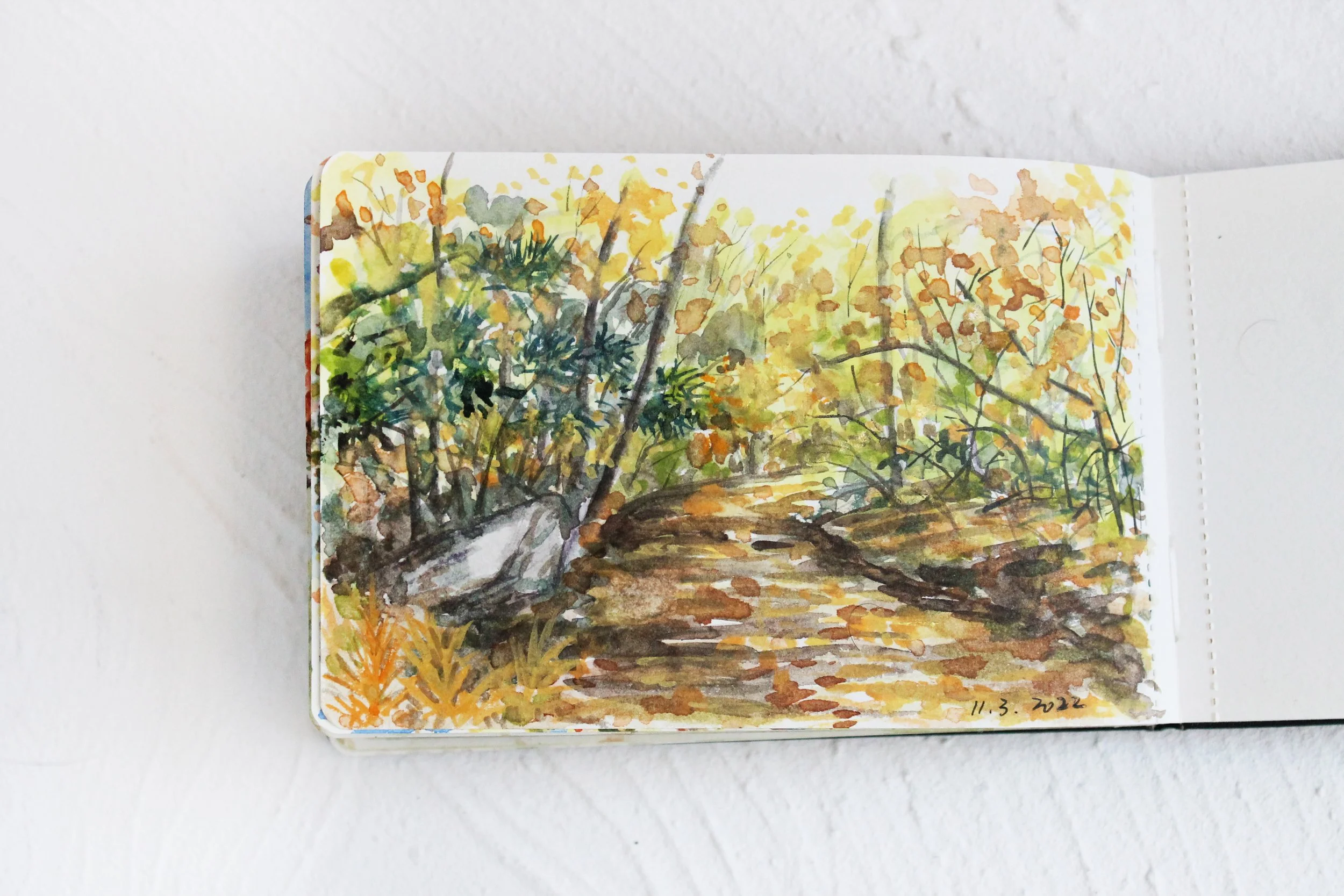 Macricostas Preserve