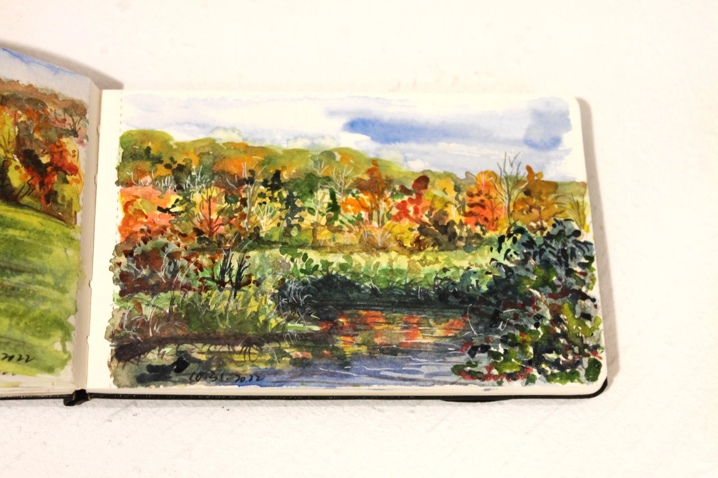 Macricostas Preserve