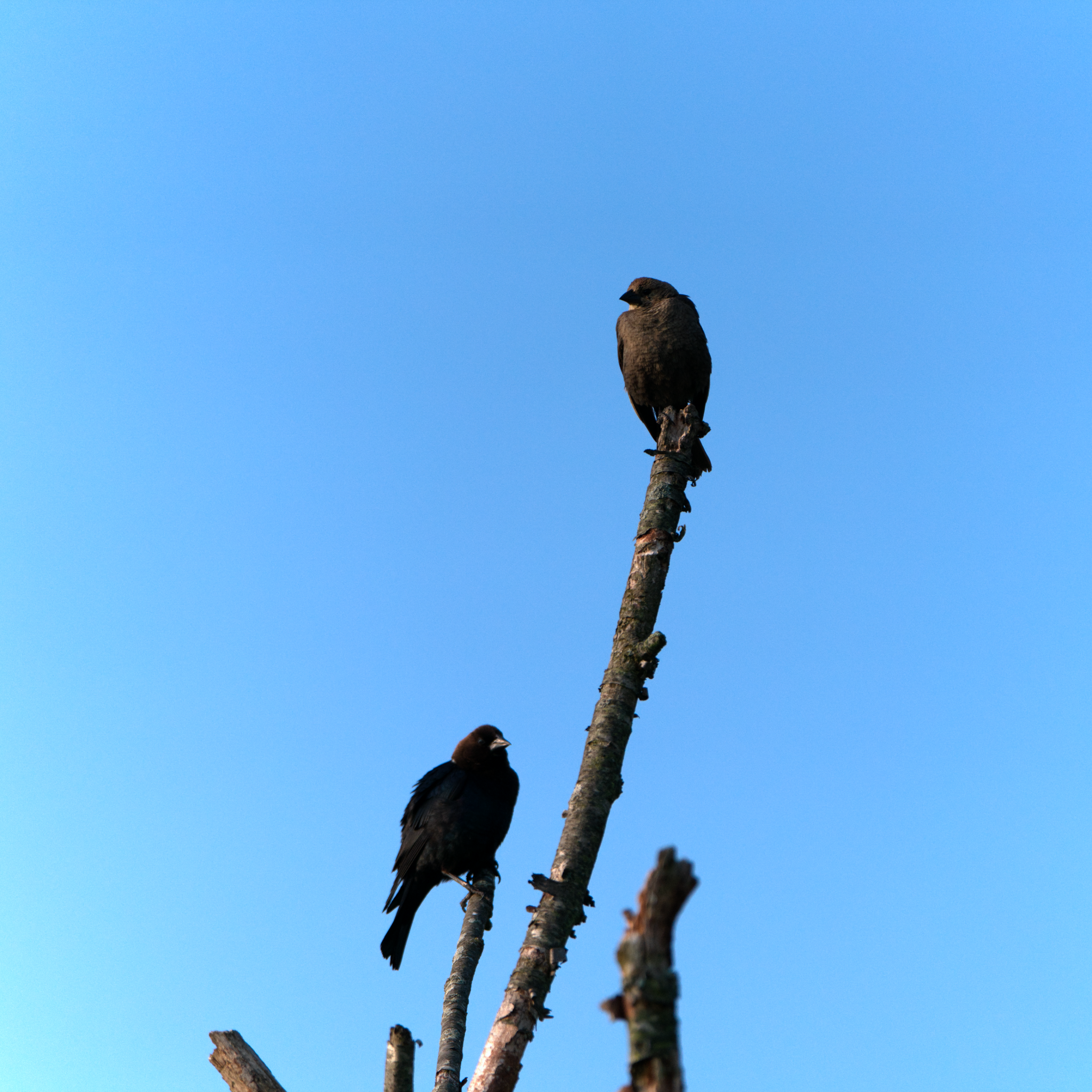 _DSC0162.png