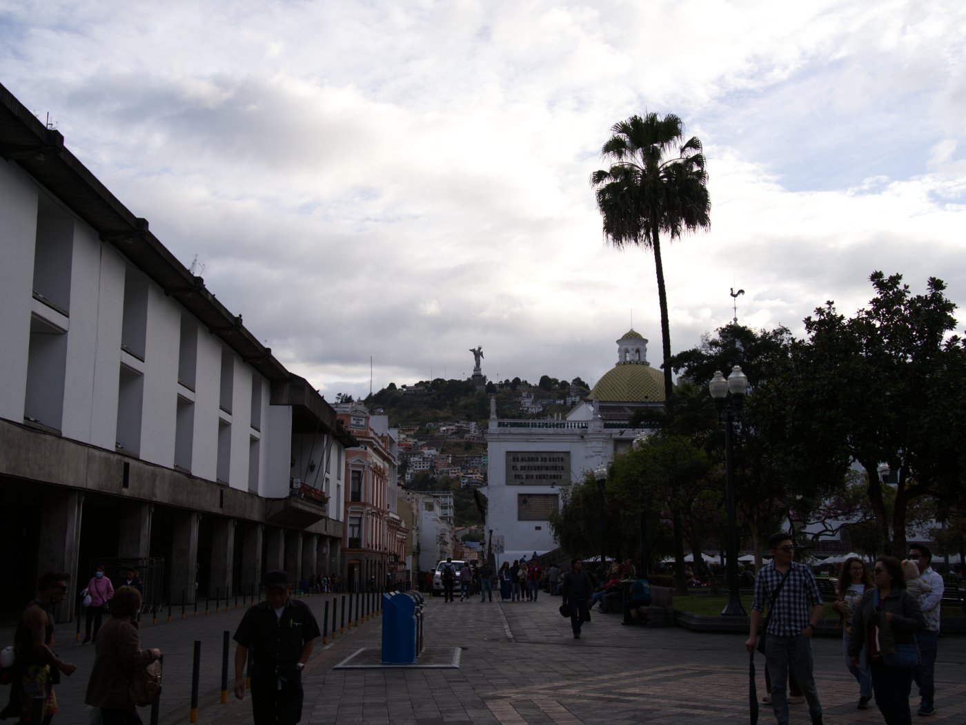_DSC9203.jpg